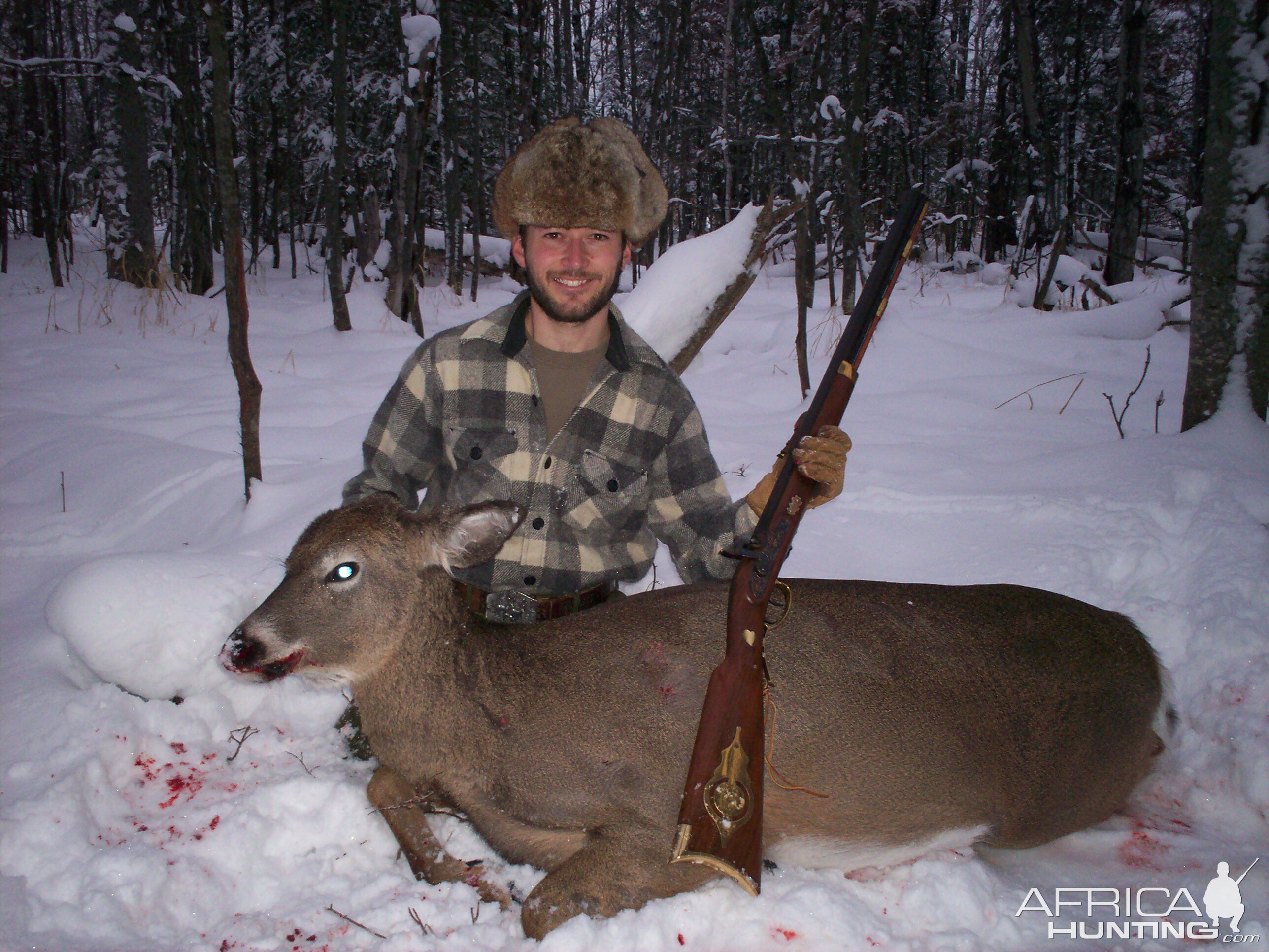 White-tailed Deer Hunt USA