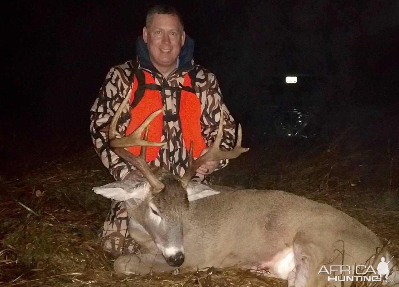 White-tailed Deer Hunt USA