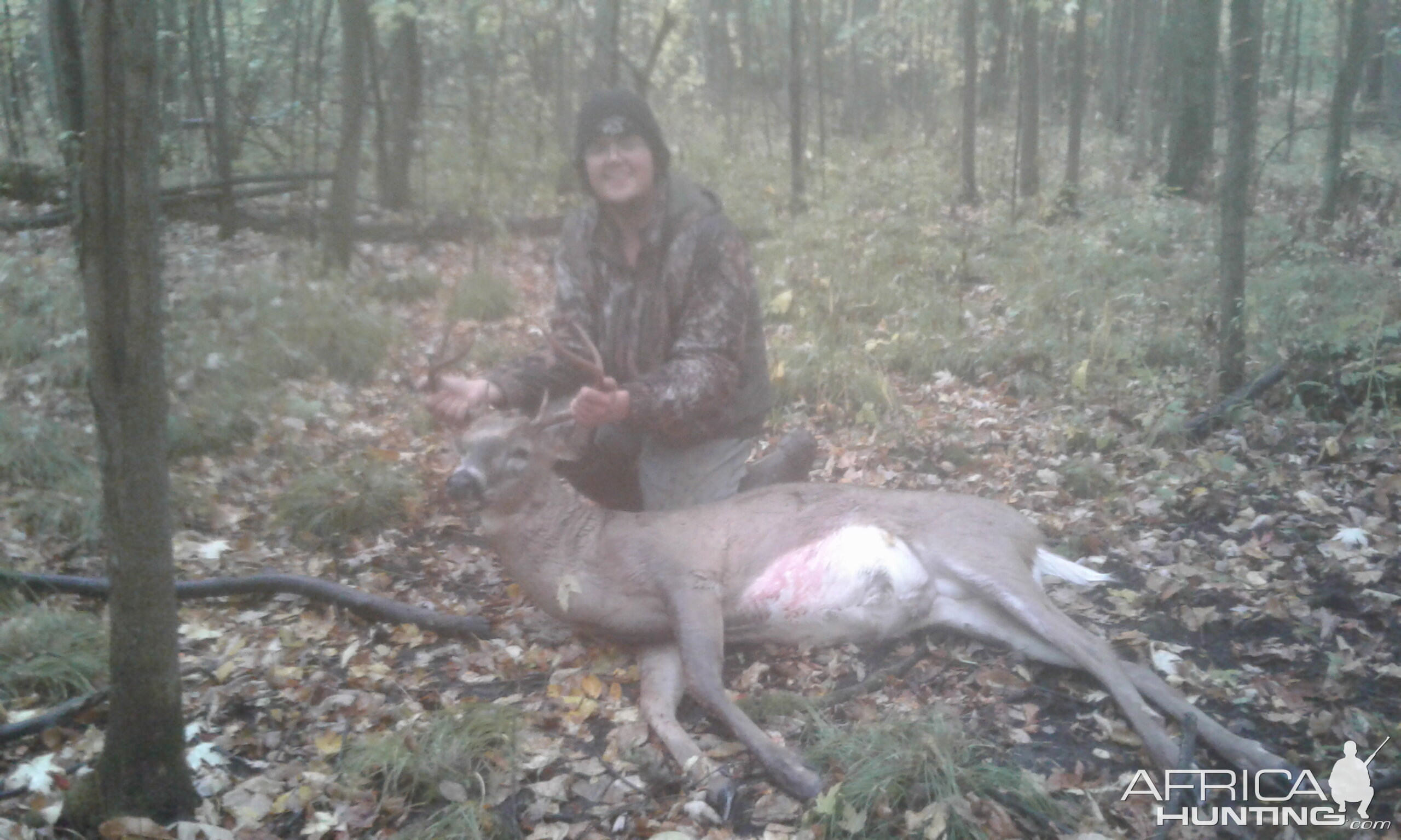 White-tailed Deer Hunting Ontario Canada