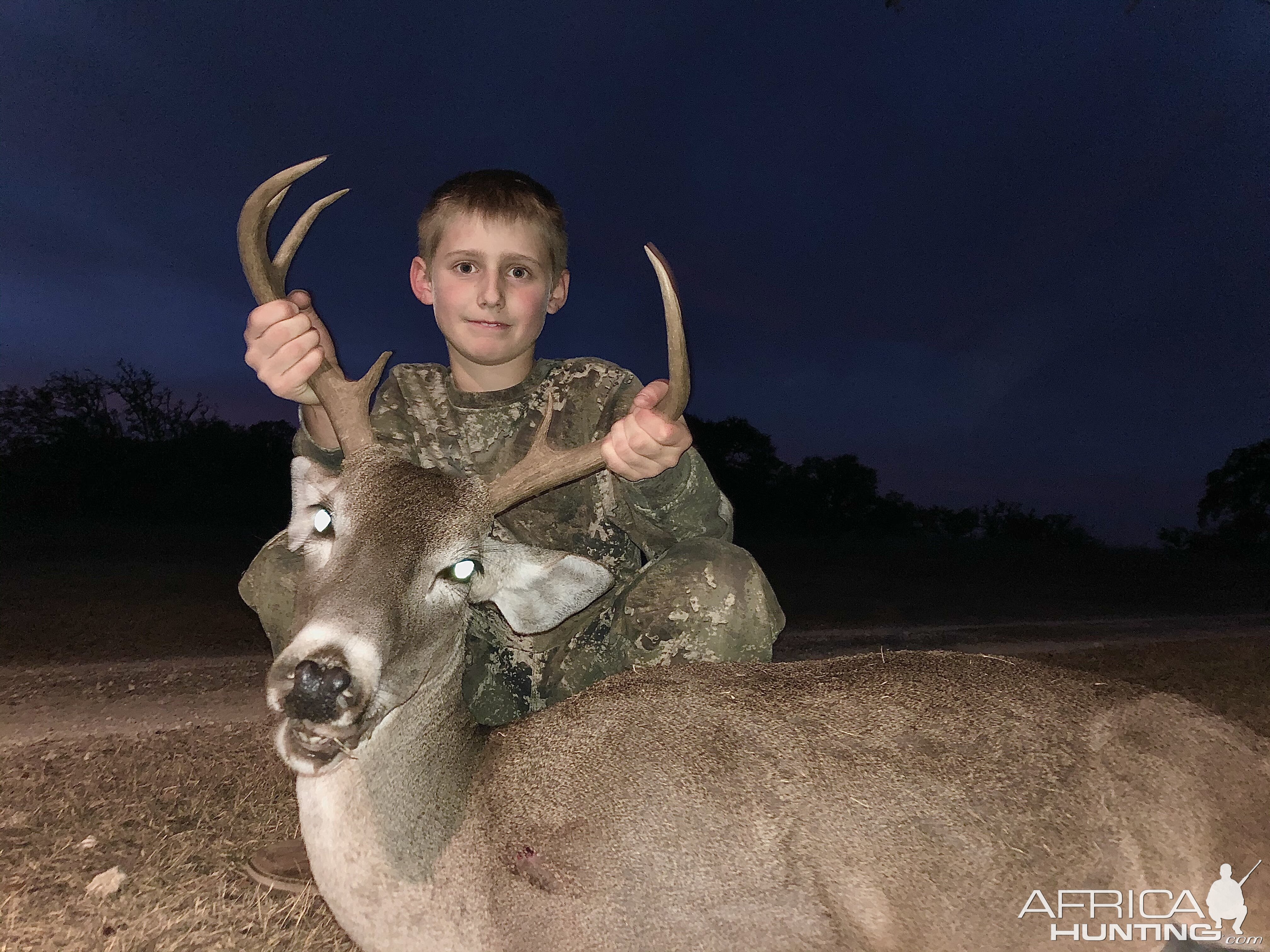 White-tailed Deer Hunting Texas USA