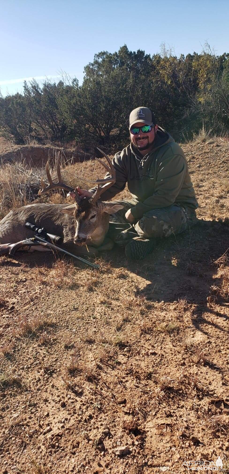 White-tailed Deer Hunting Texas USA