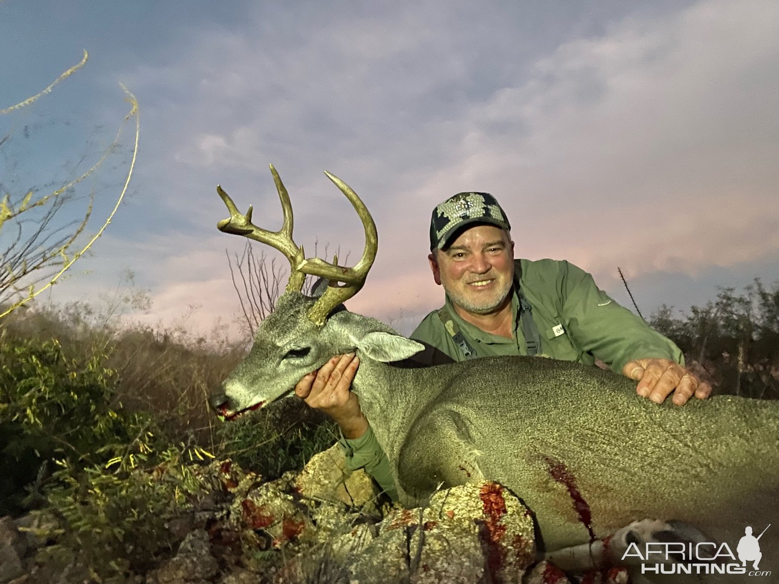 White-tailed Deer Hunting