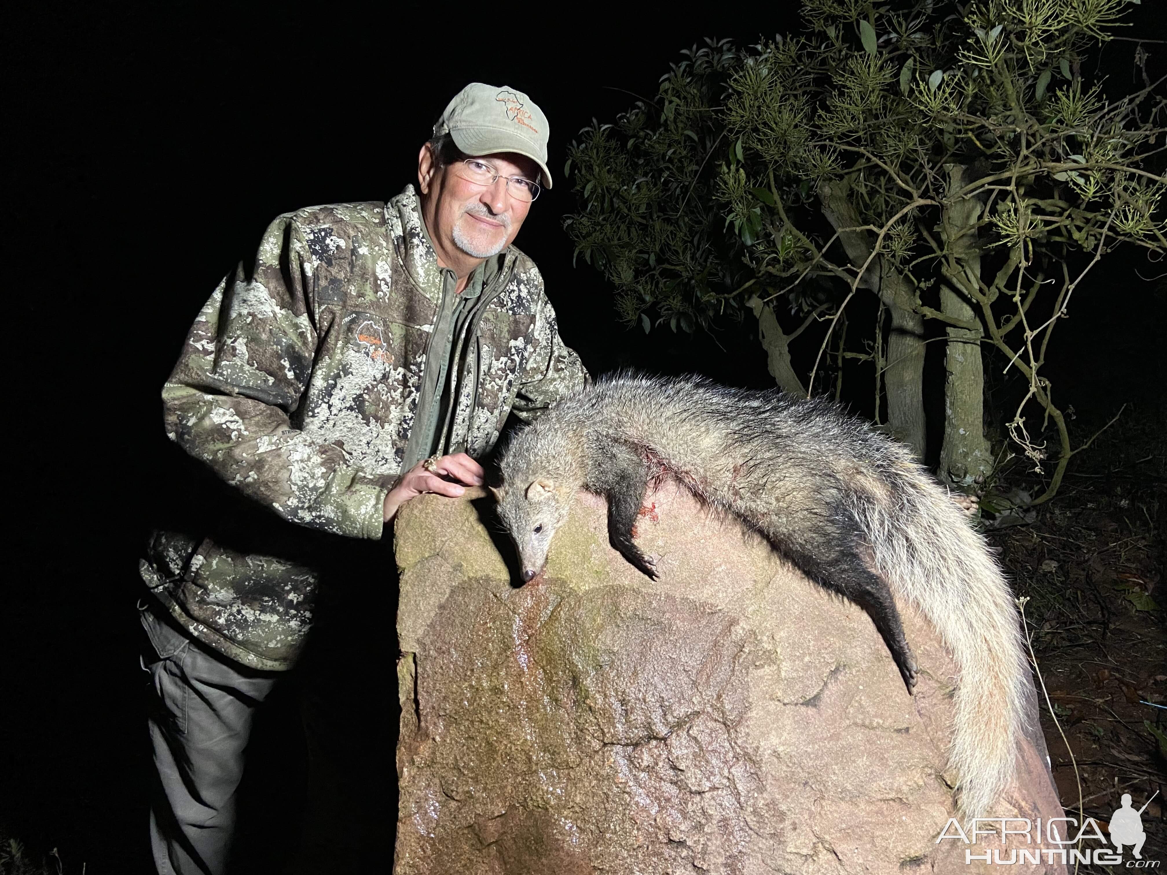 White-tailed Mongoose Hunting South Africa