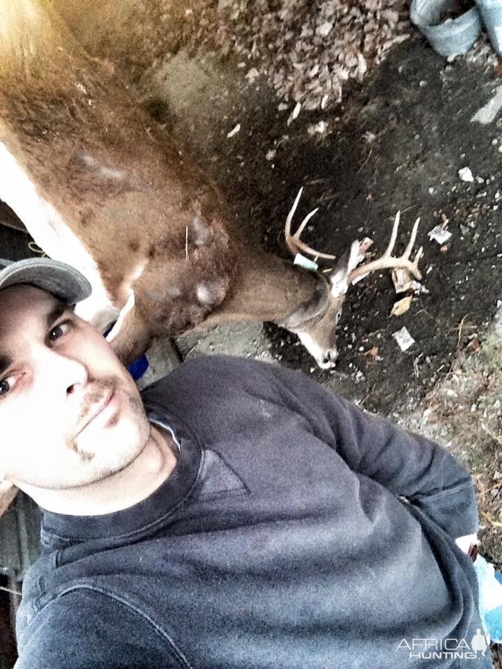 Whitetail buck WV