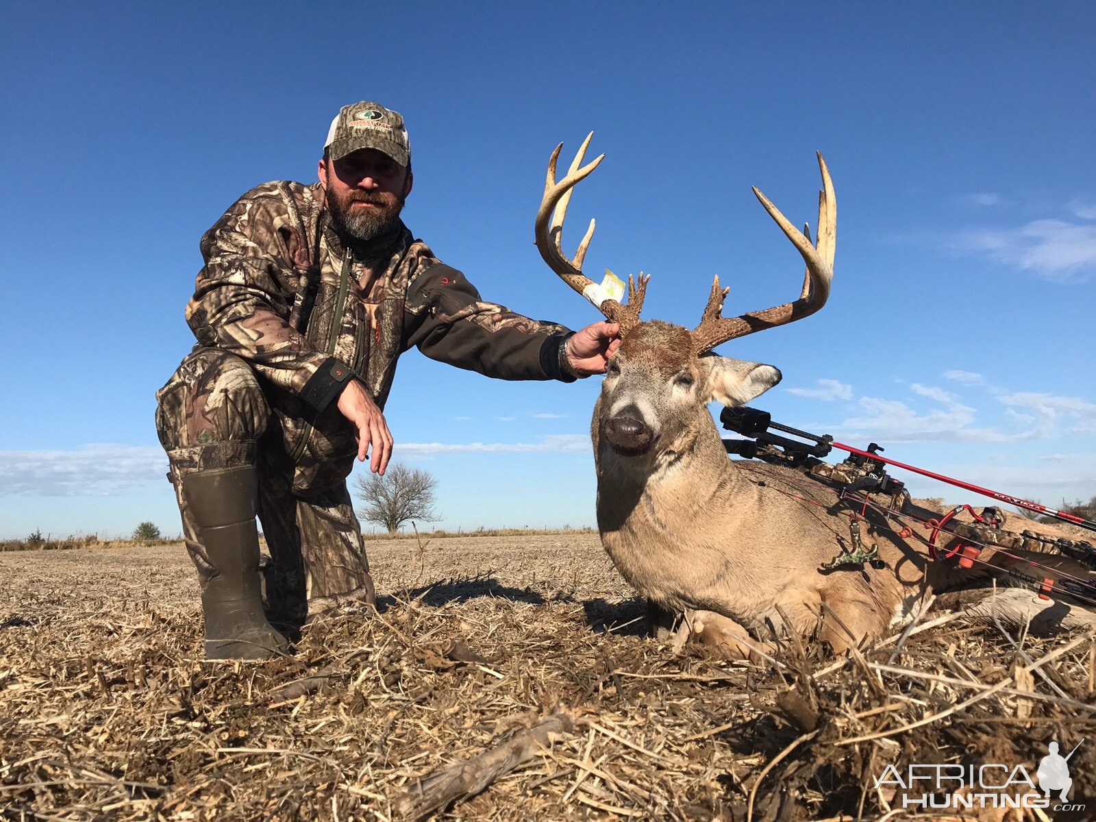 Whitetail Deer Bow Hunting Iowa