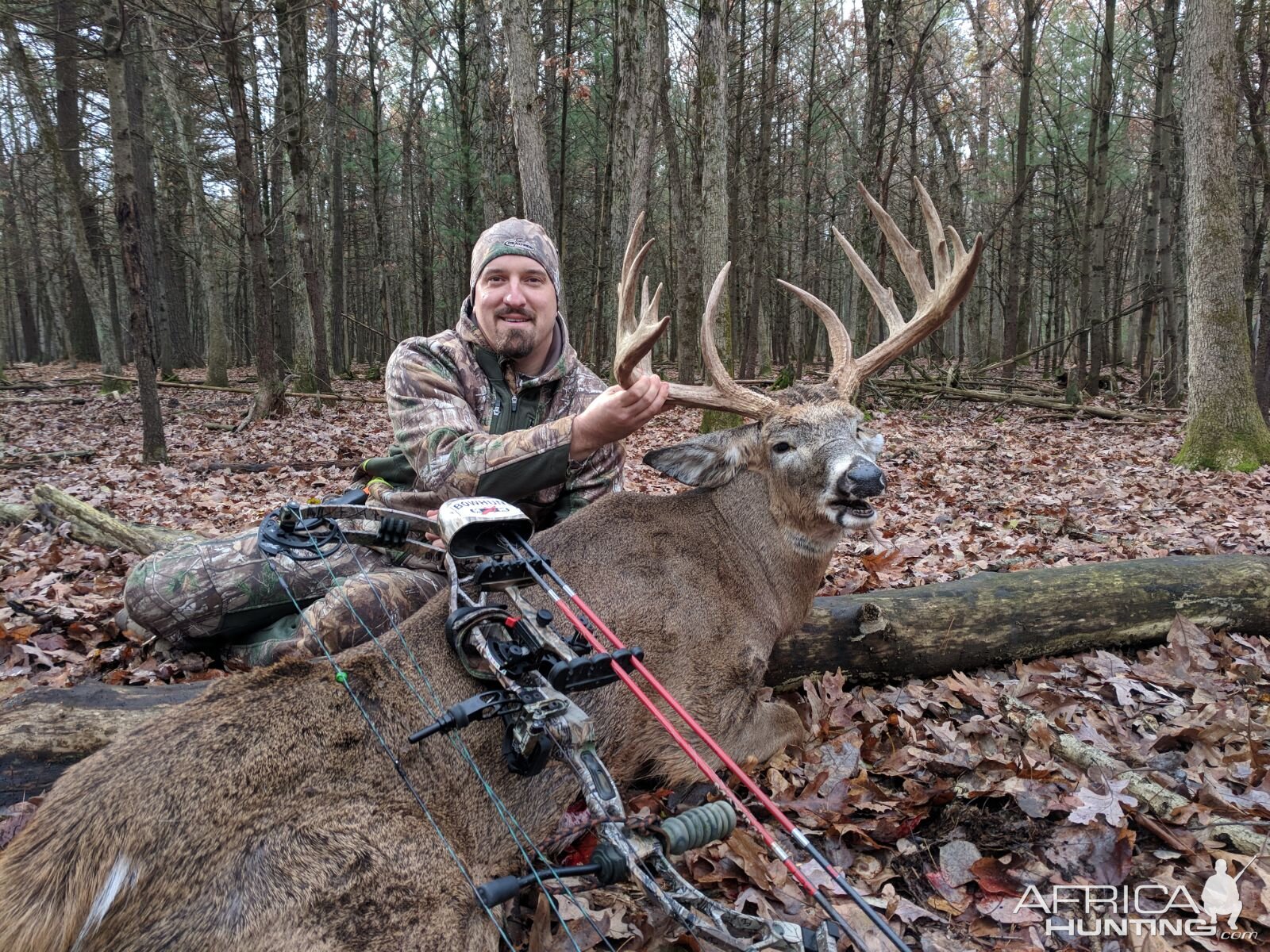 Whitetail Deer Bowhunting