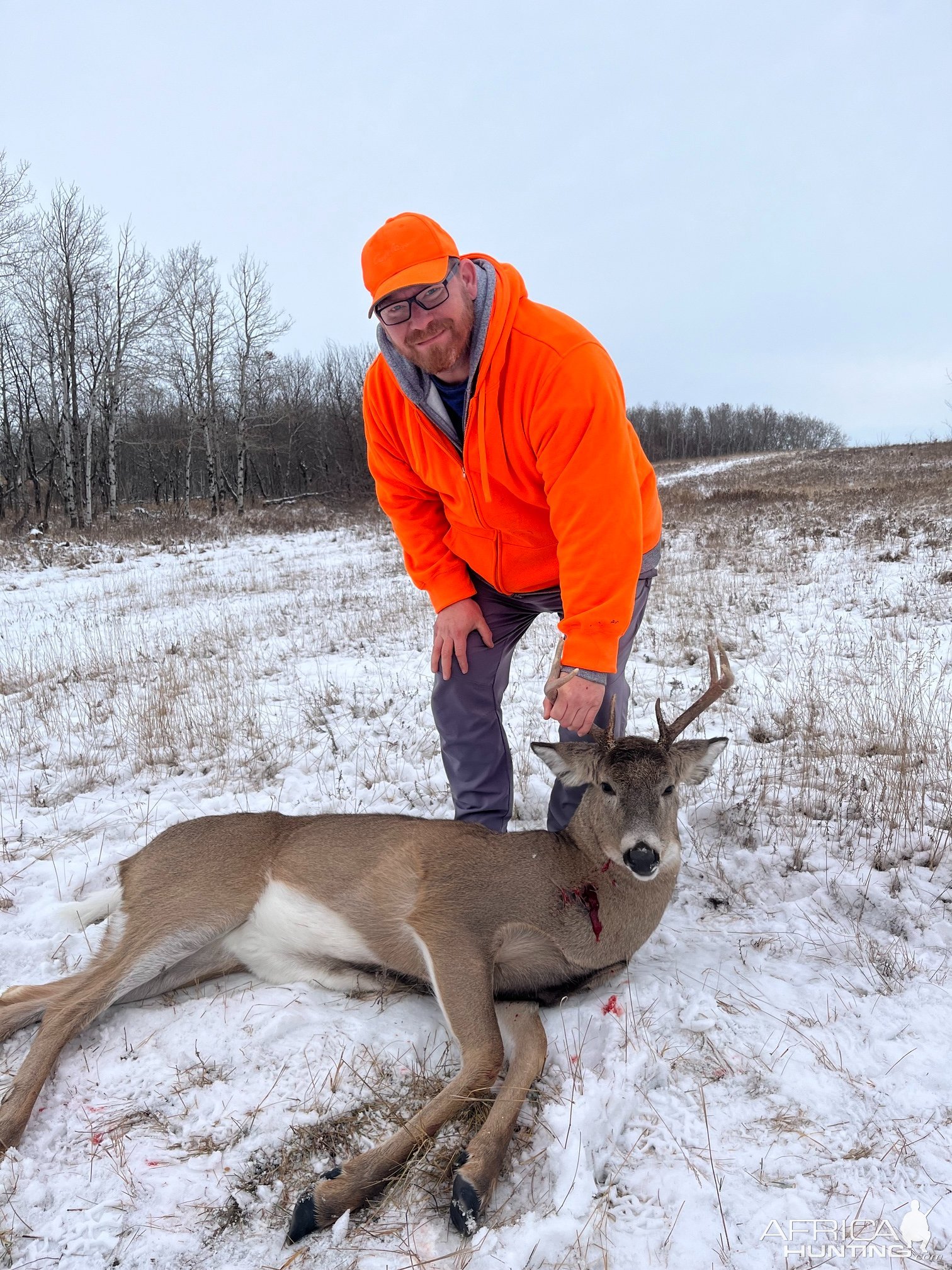 Whitetail Deer Hunt Canada