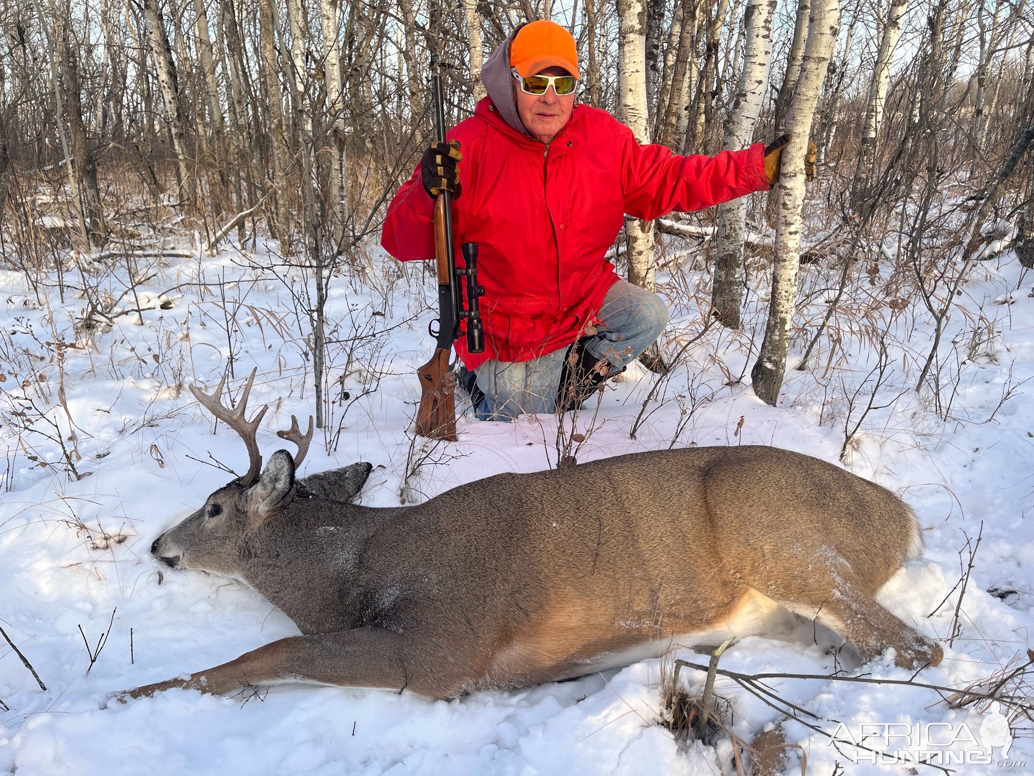 Whitetail Deer Hunt Canada