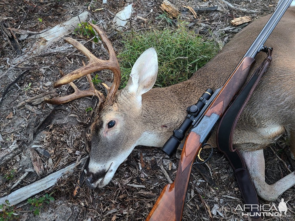 Whitetail Deer Hunt Carolina