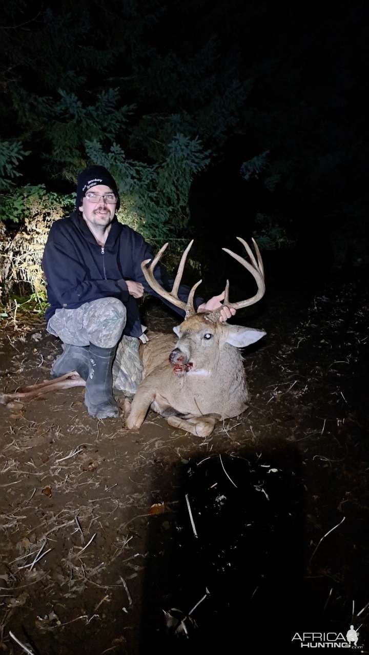 Whitetail Deer Hunt Ontario