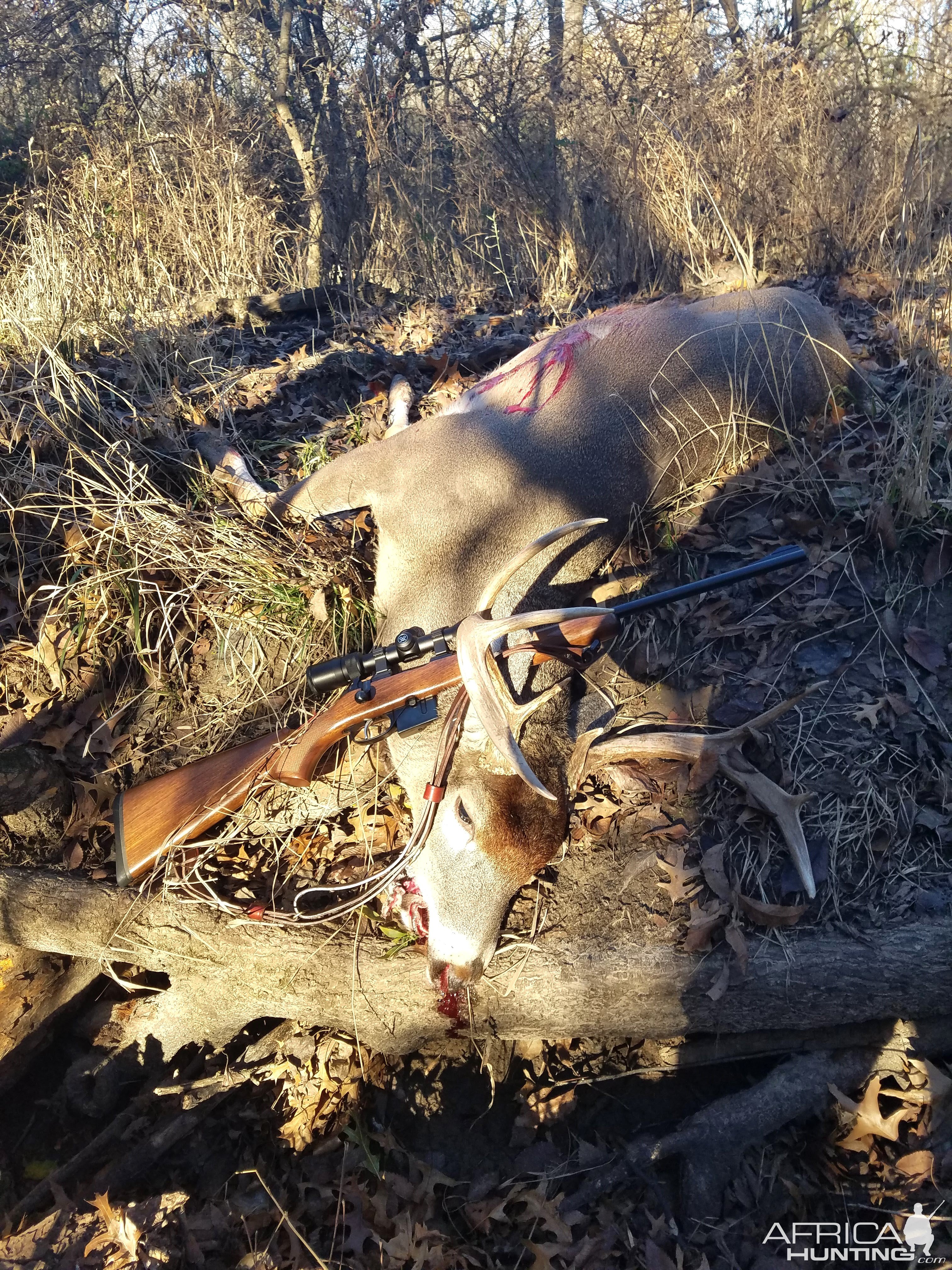 Whitetail Deer Hunt