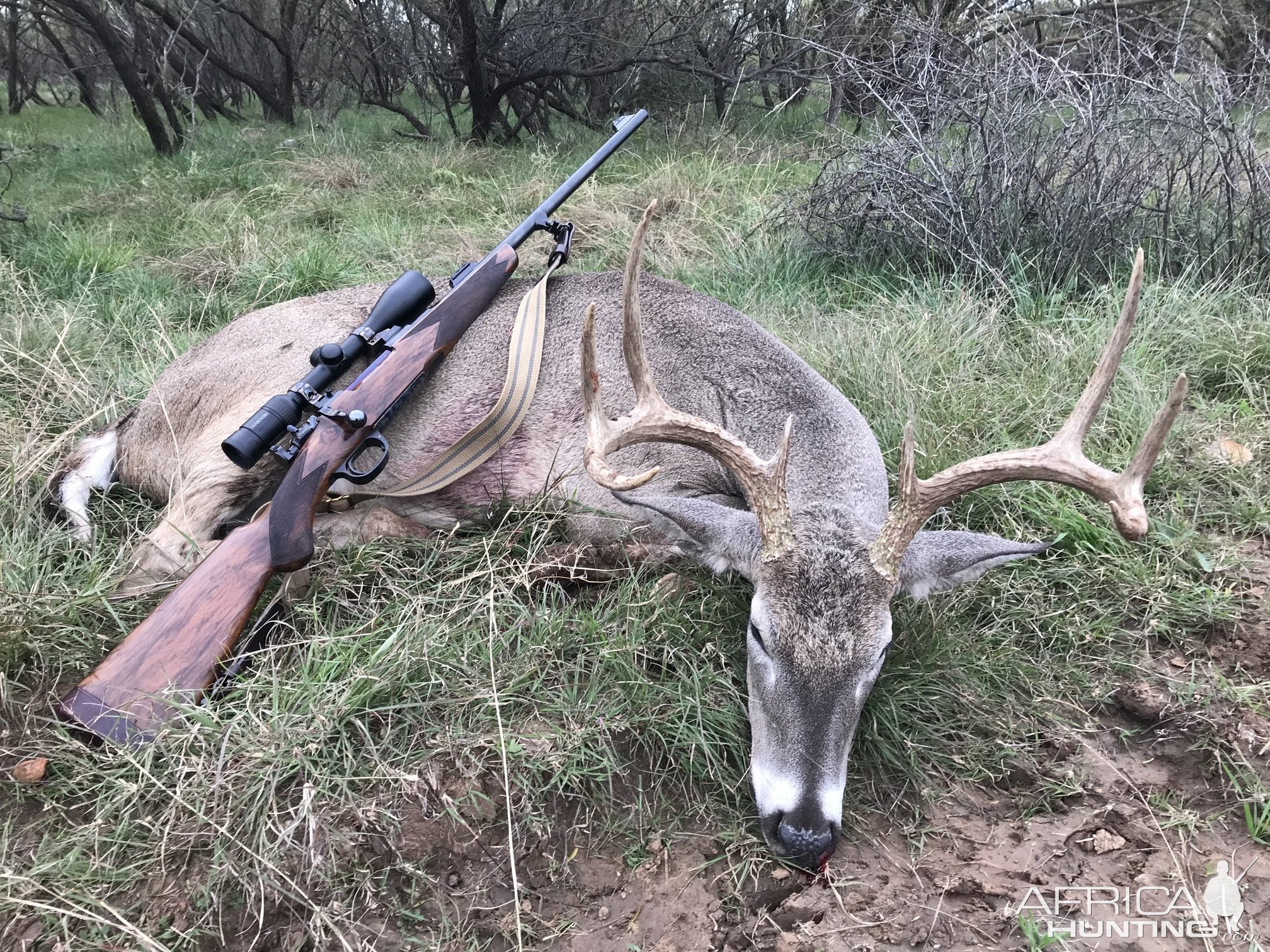 Whitetail Deer Hunt