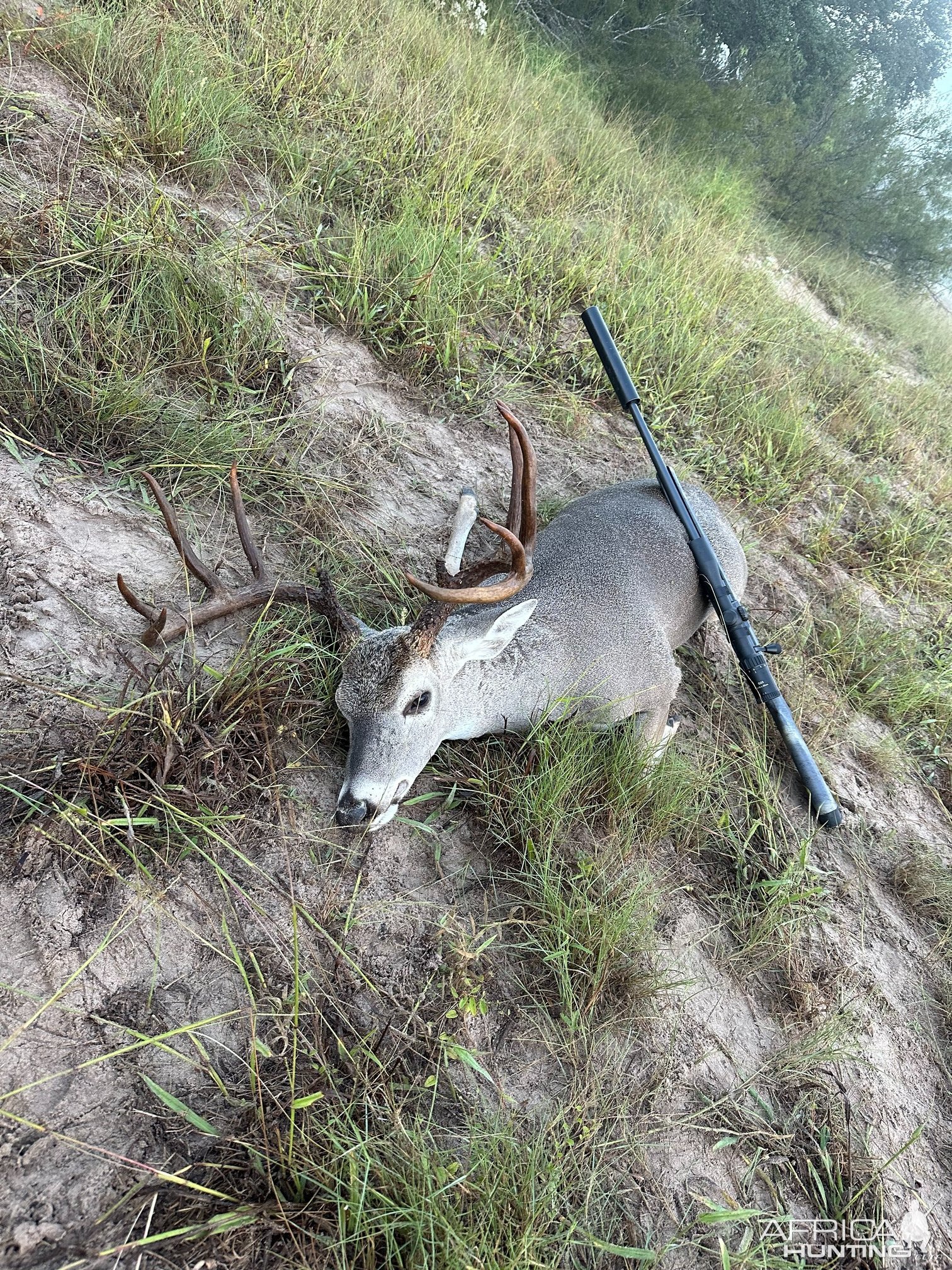 Whitetail Deer Hunt