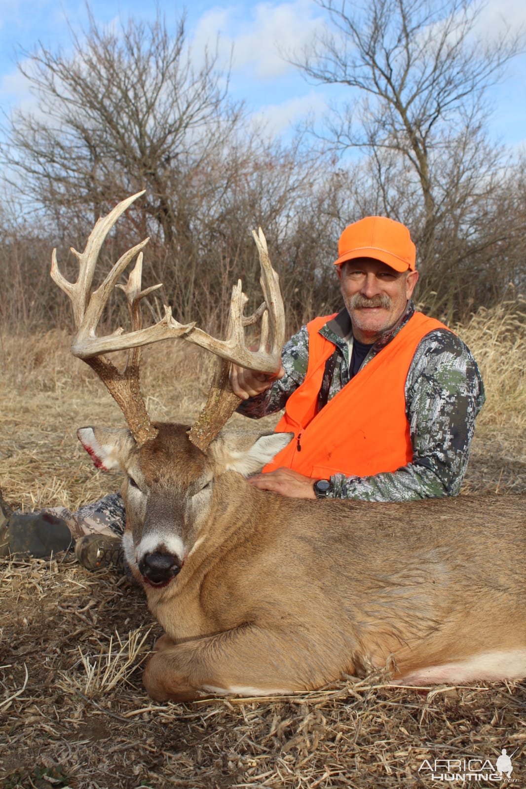 Whitetail Deer Hunting Iowa