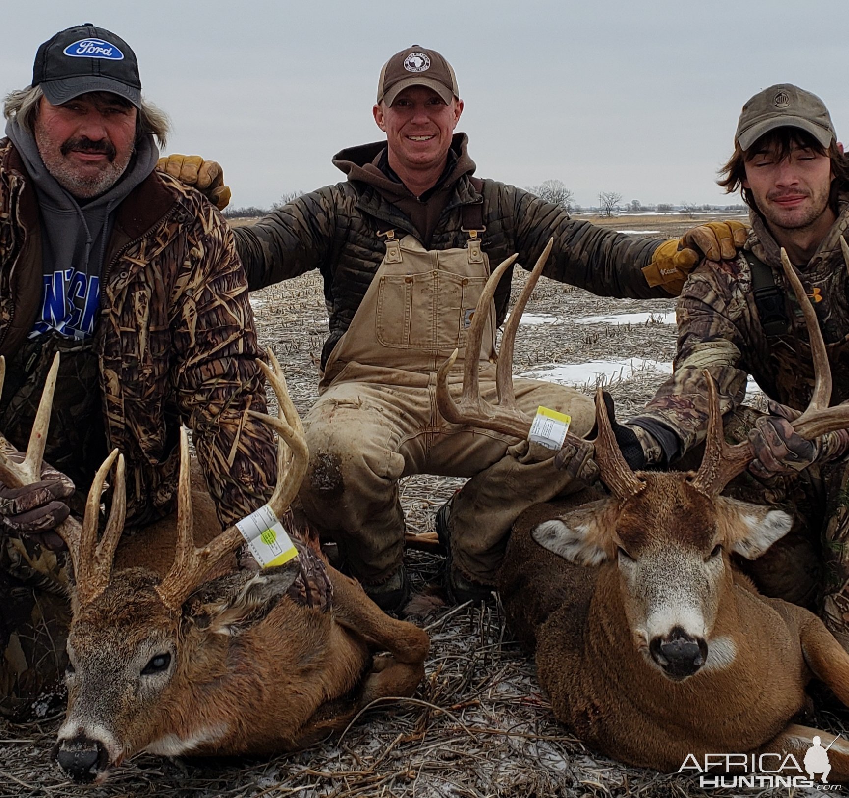 Whitetail Deer Hunting Iowa