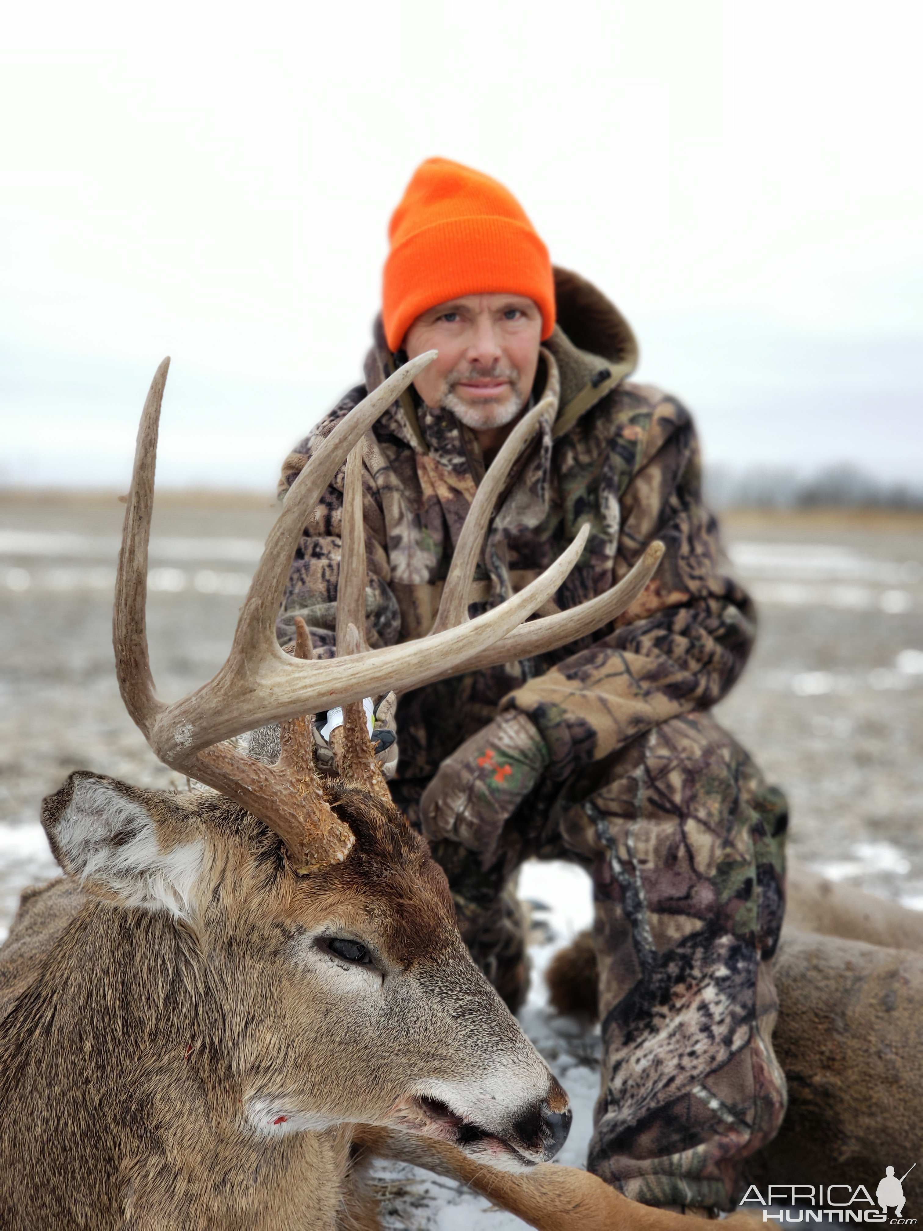 Whitetail Deer Hunting Iowa