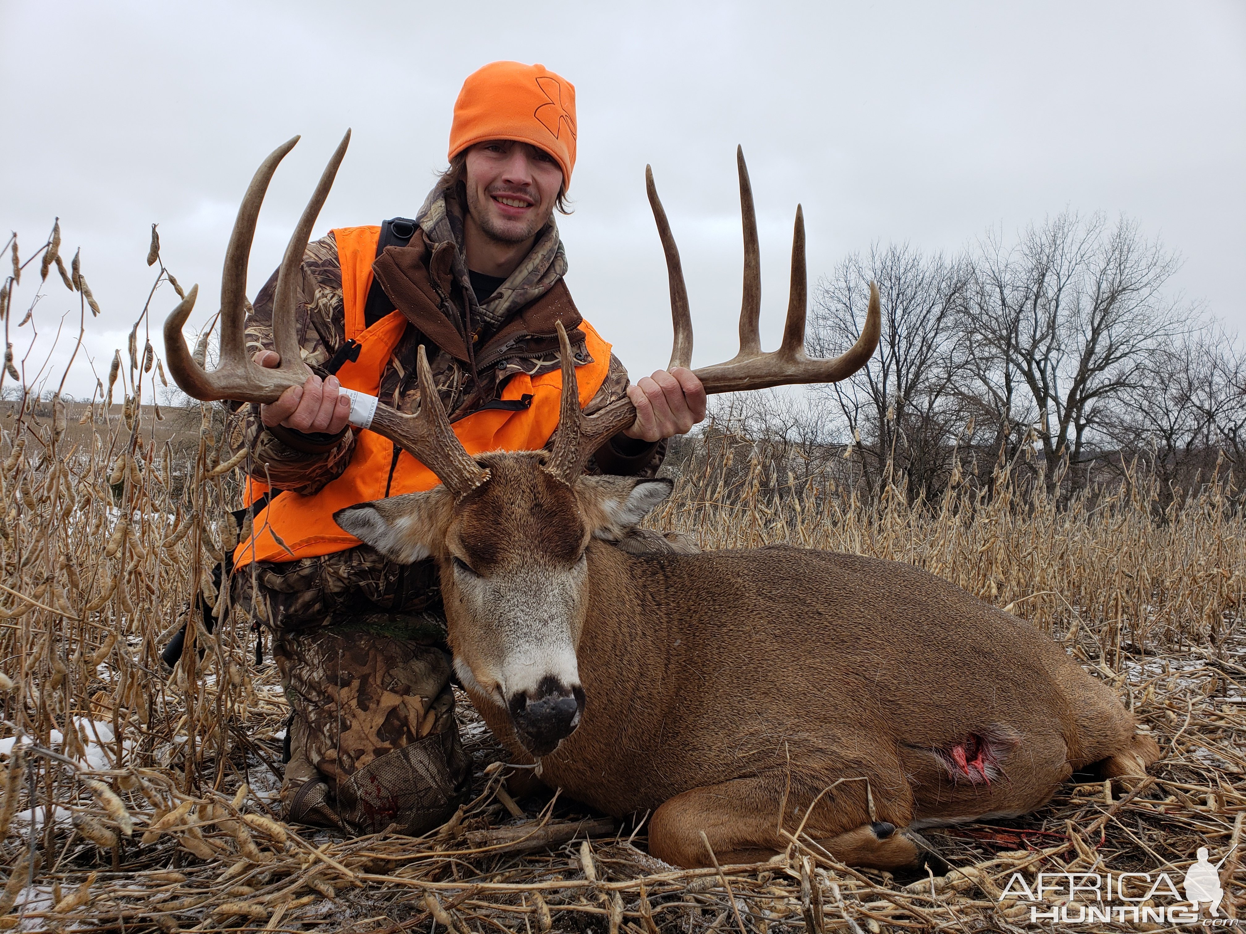 Whitetail Deer Hunting Iowa