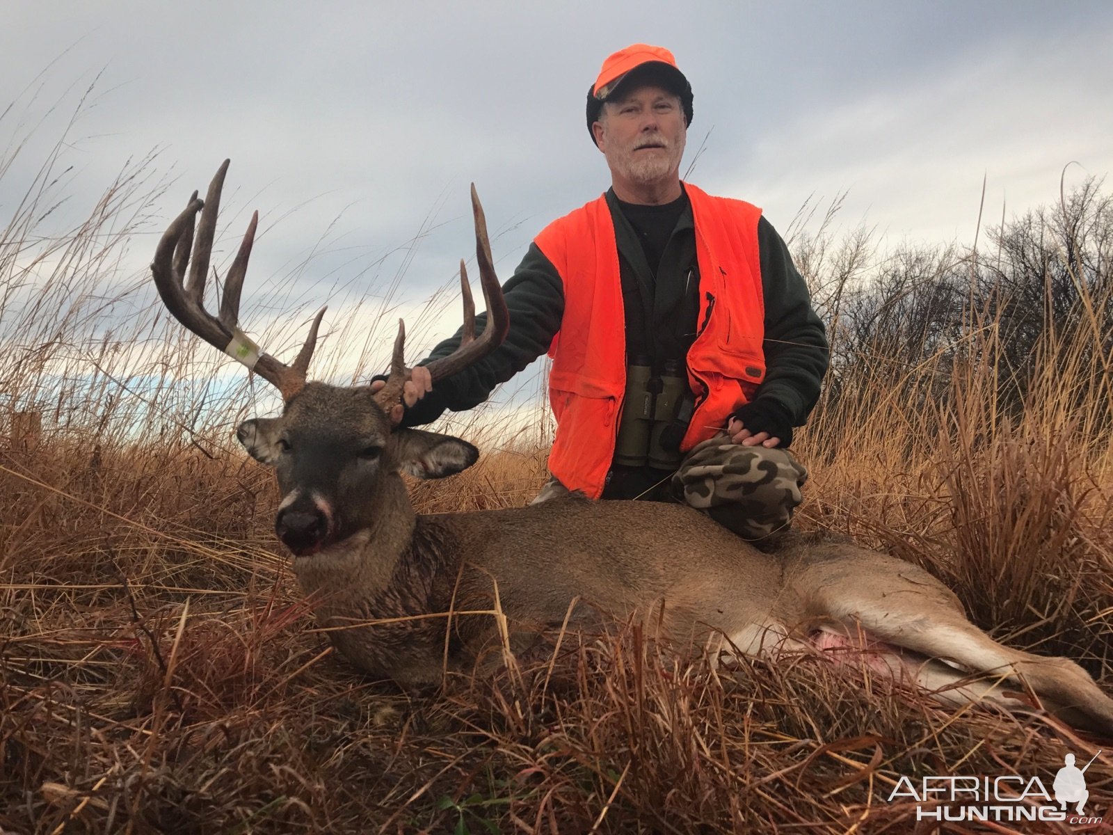 Whitetail Deer Hunting Iowa