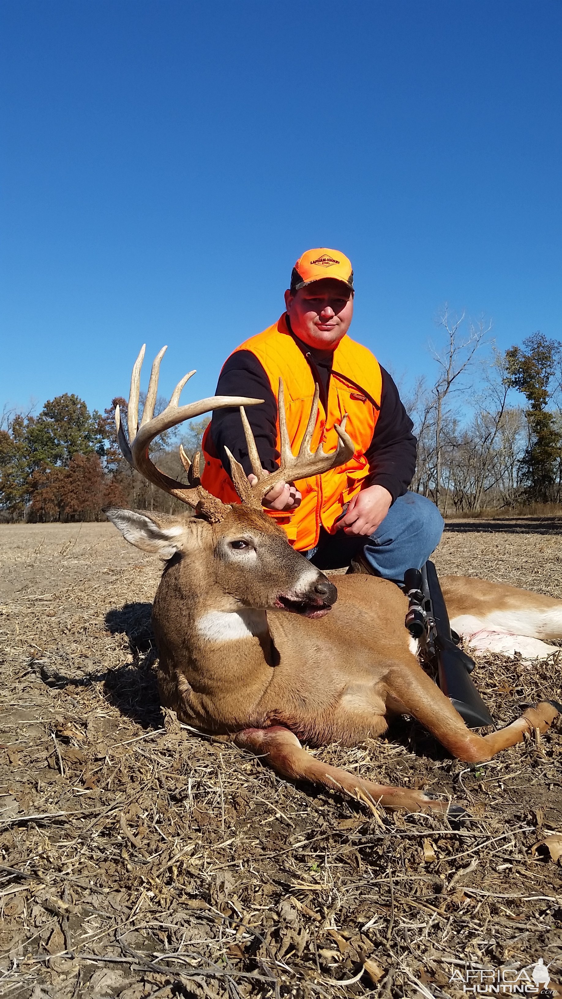 Whitetail Deer Hunting Iowa