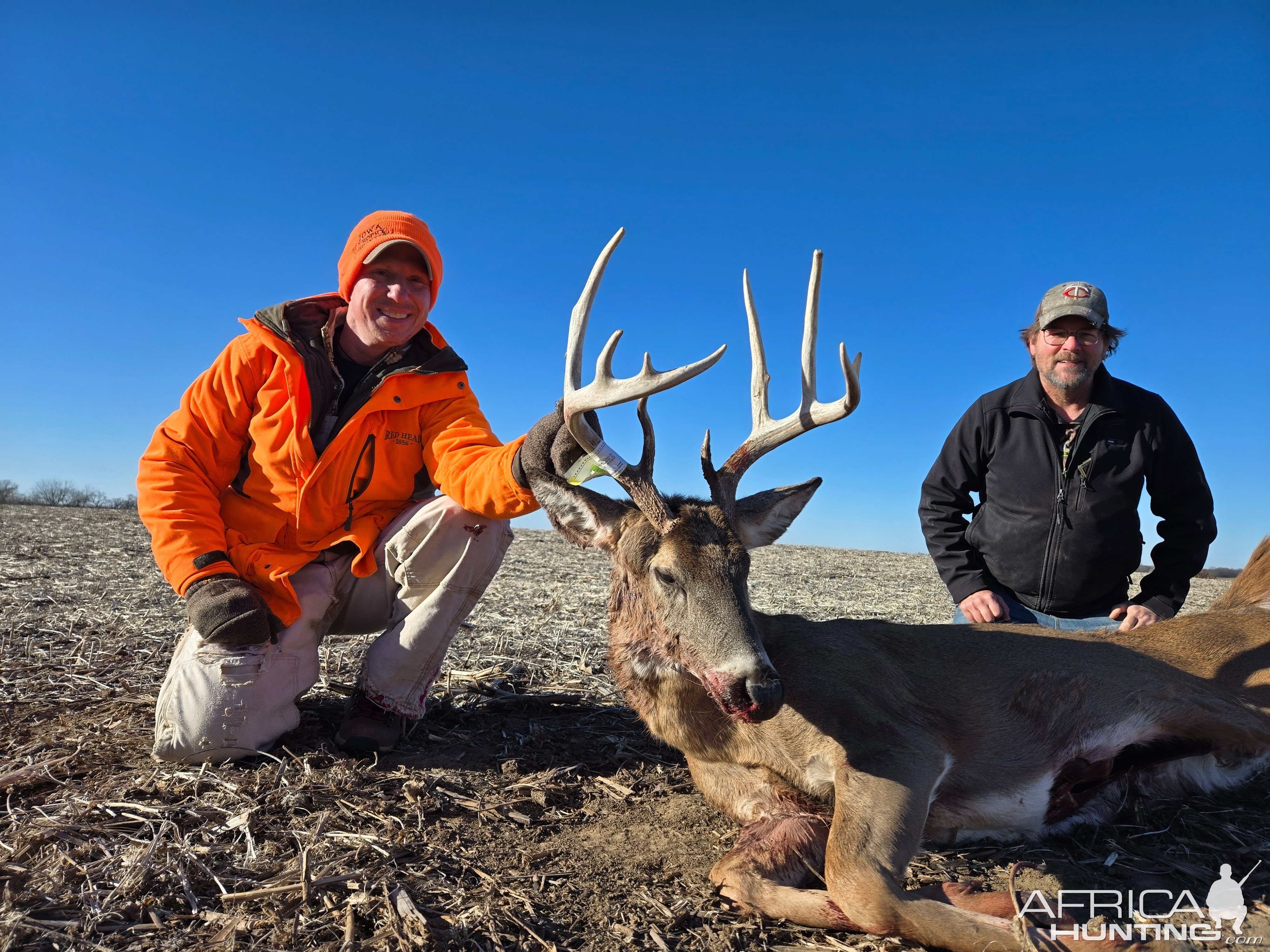 Whitetail Deer Hunting Iowa