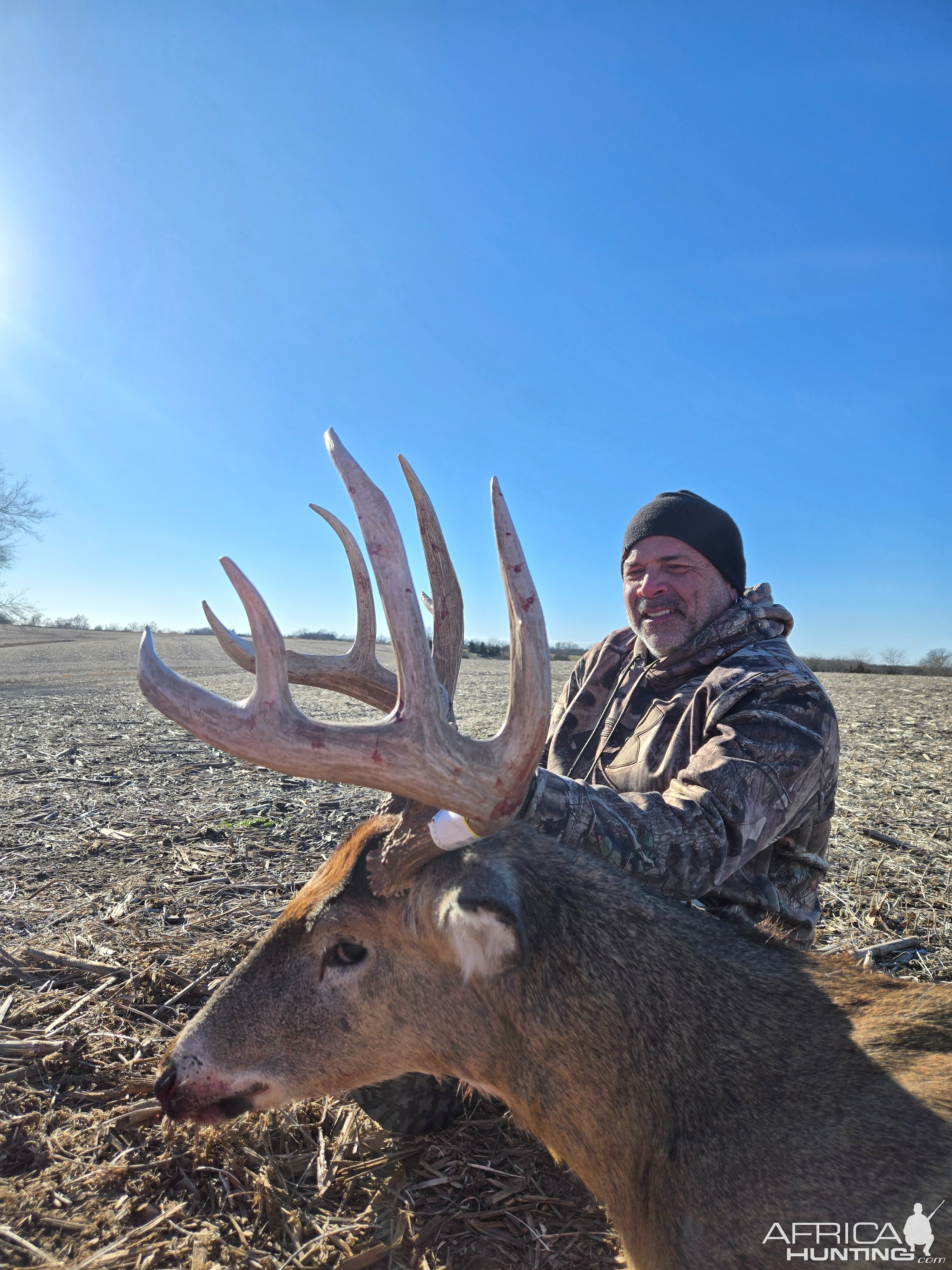 Whitetail Deer Hunting Iowa