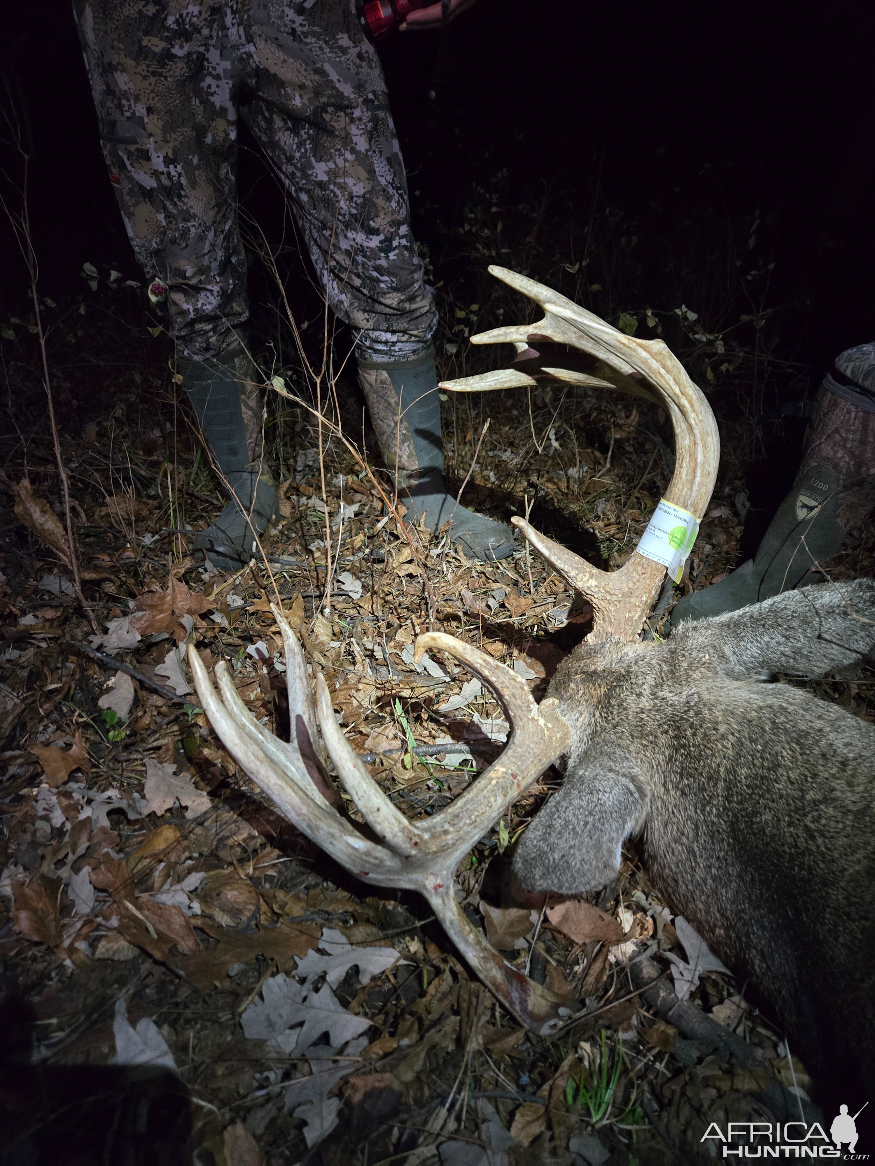 Whitetail Deer Hunting Iowa