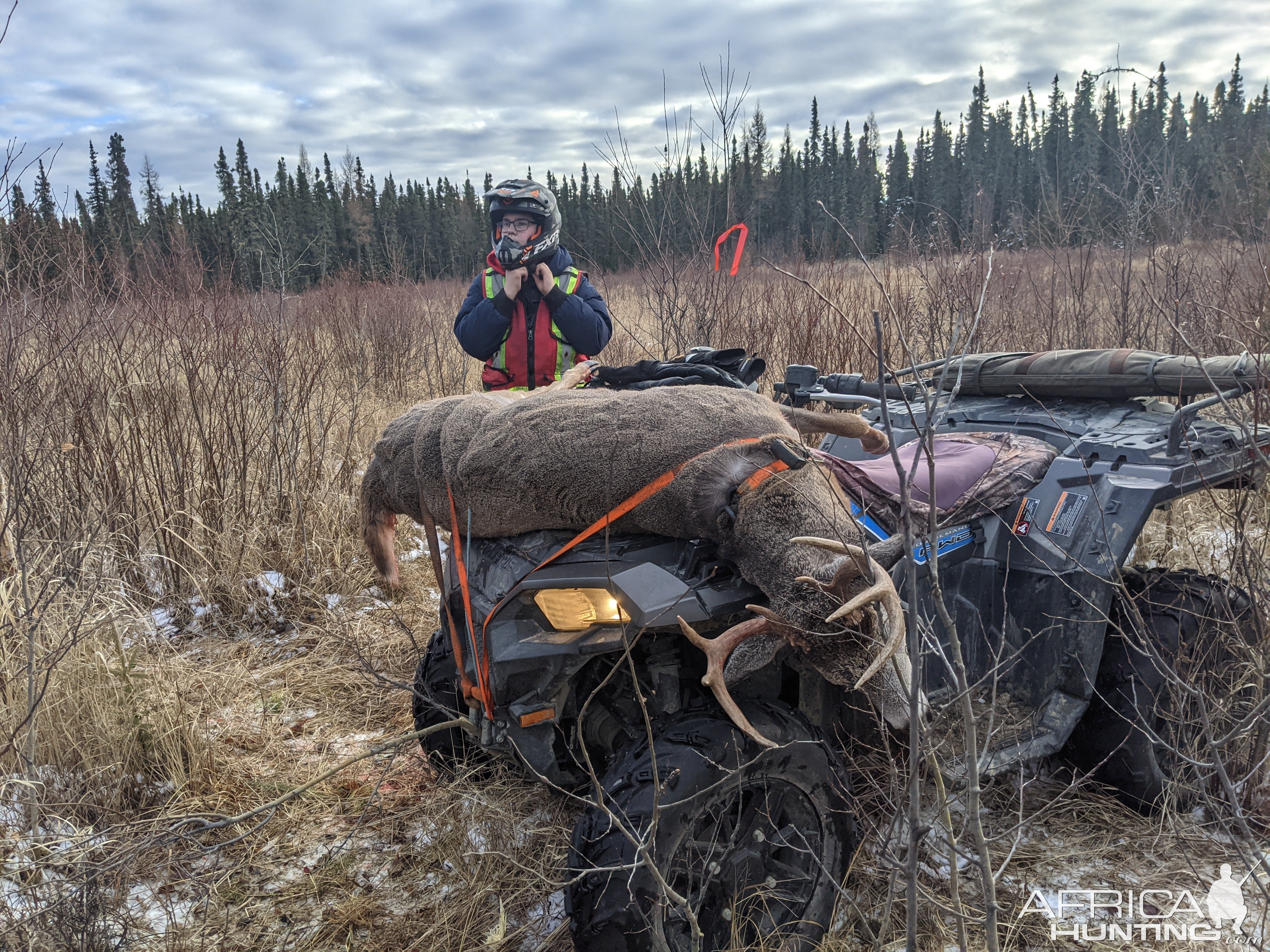 Whitetail Deer Hunting