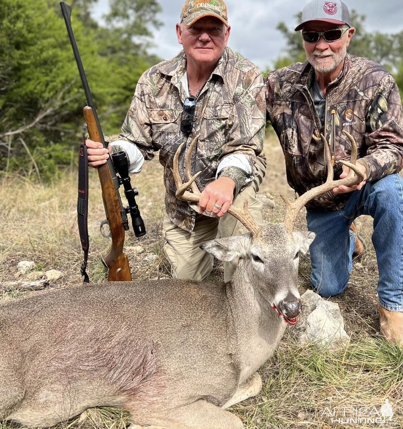 Whitetail Deer Hunting