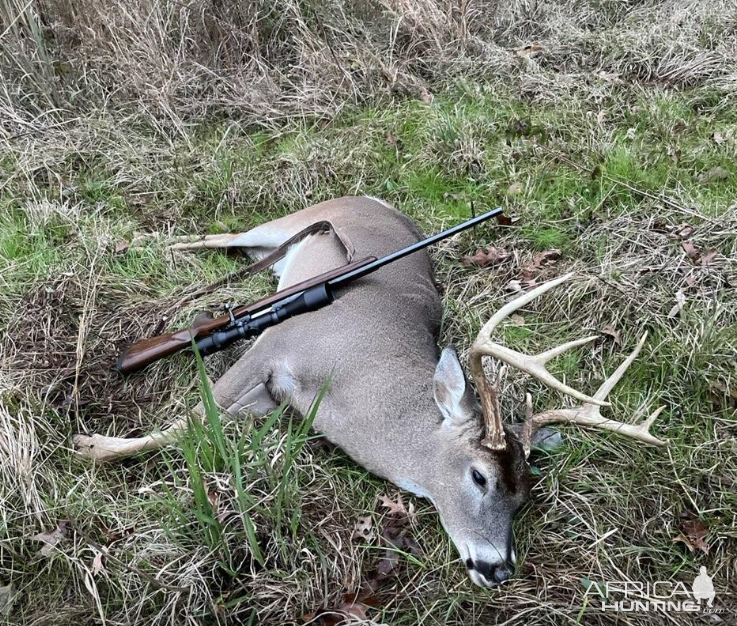 Whitetail Deer Hunting