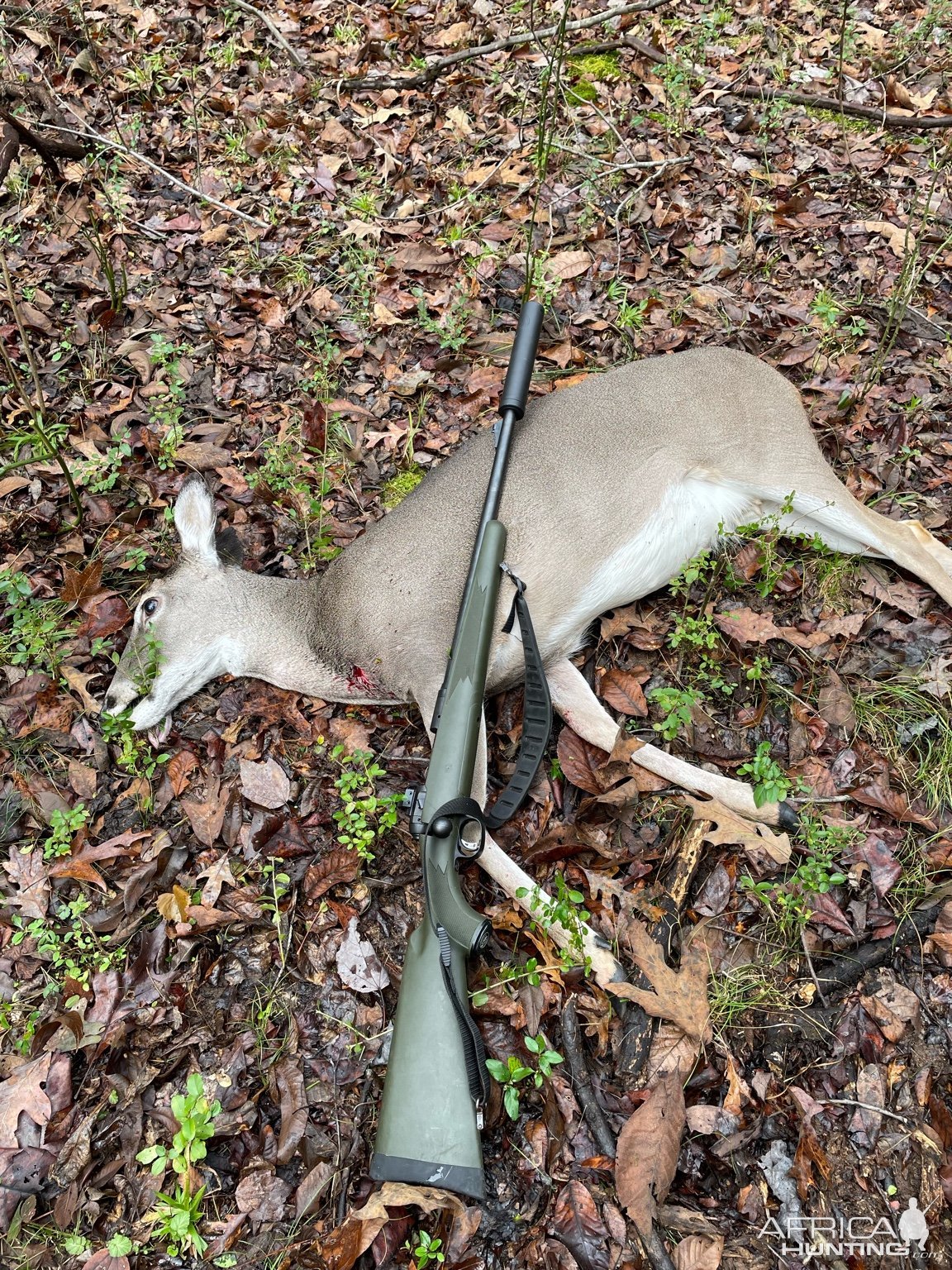 Whitetail Doe Hunt