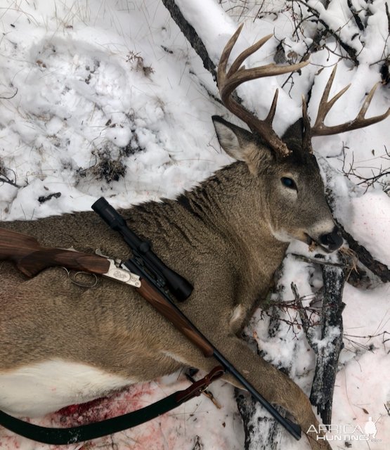 Whitetail Hunt Canada