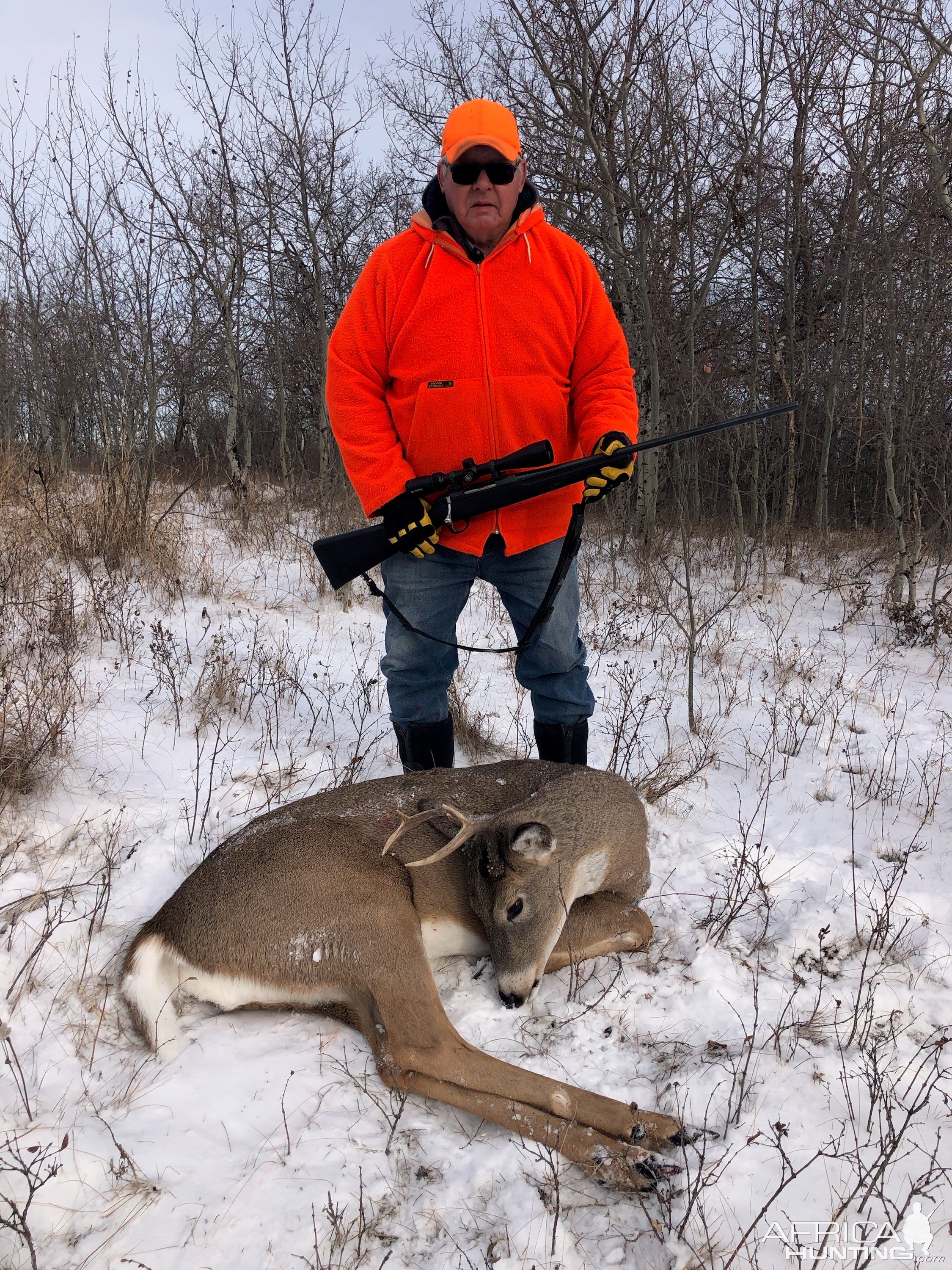 Whitetail Hunting