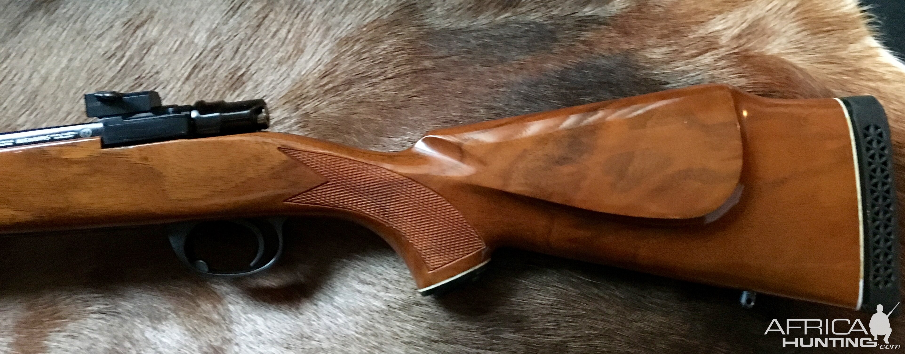 Whitworth .375 H&H