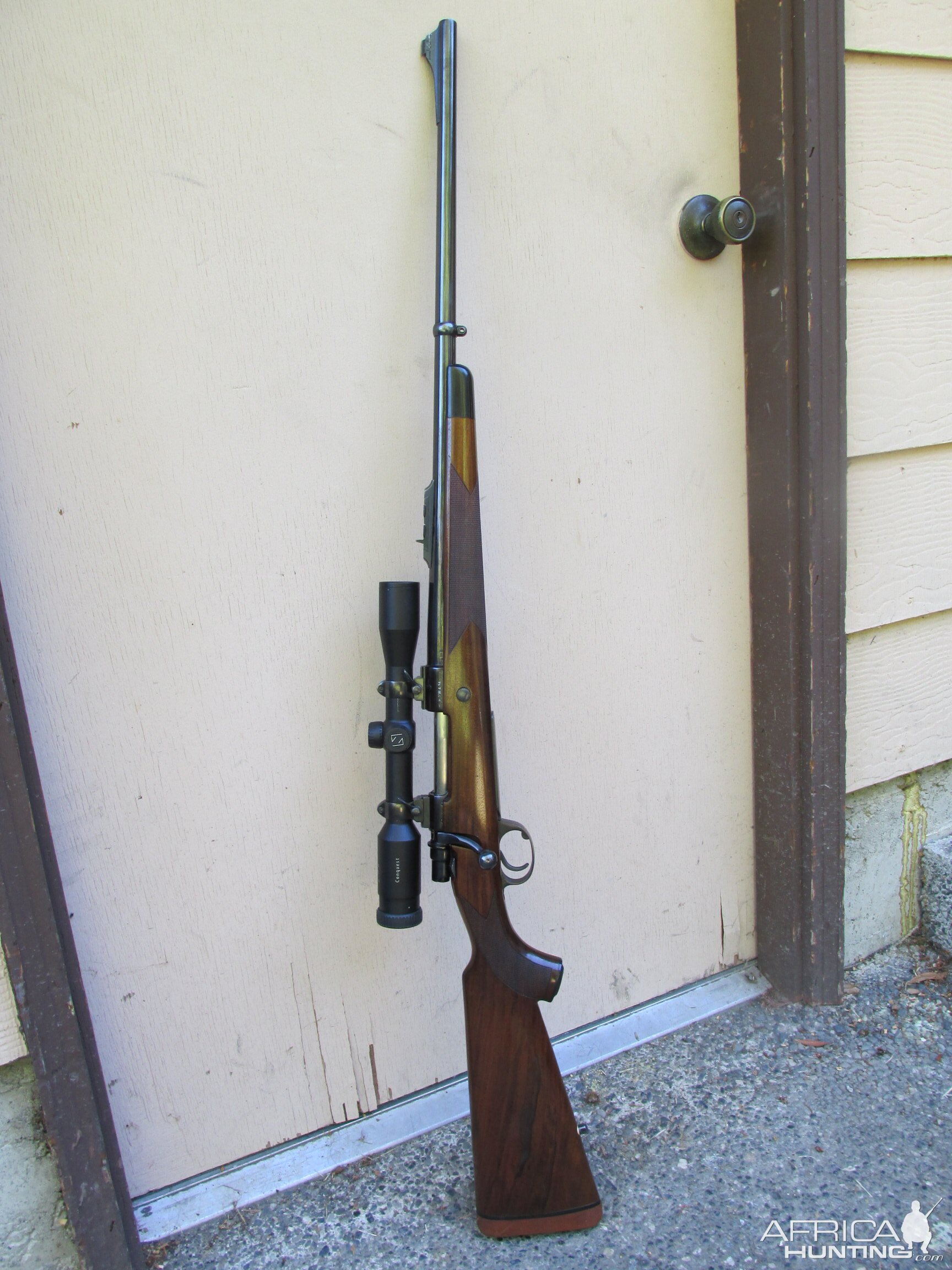 Whitworth .375 Rifle