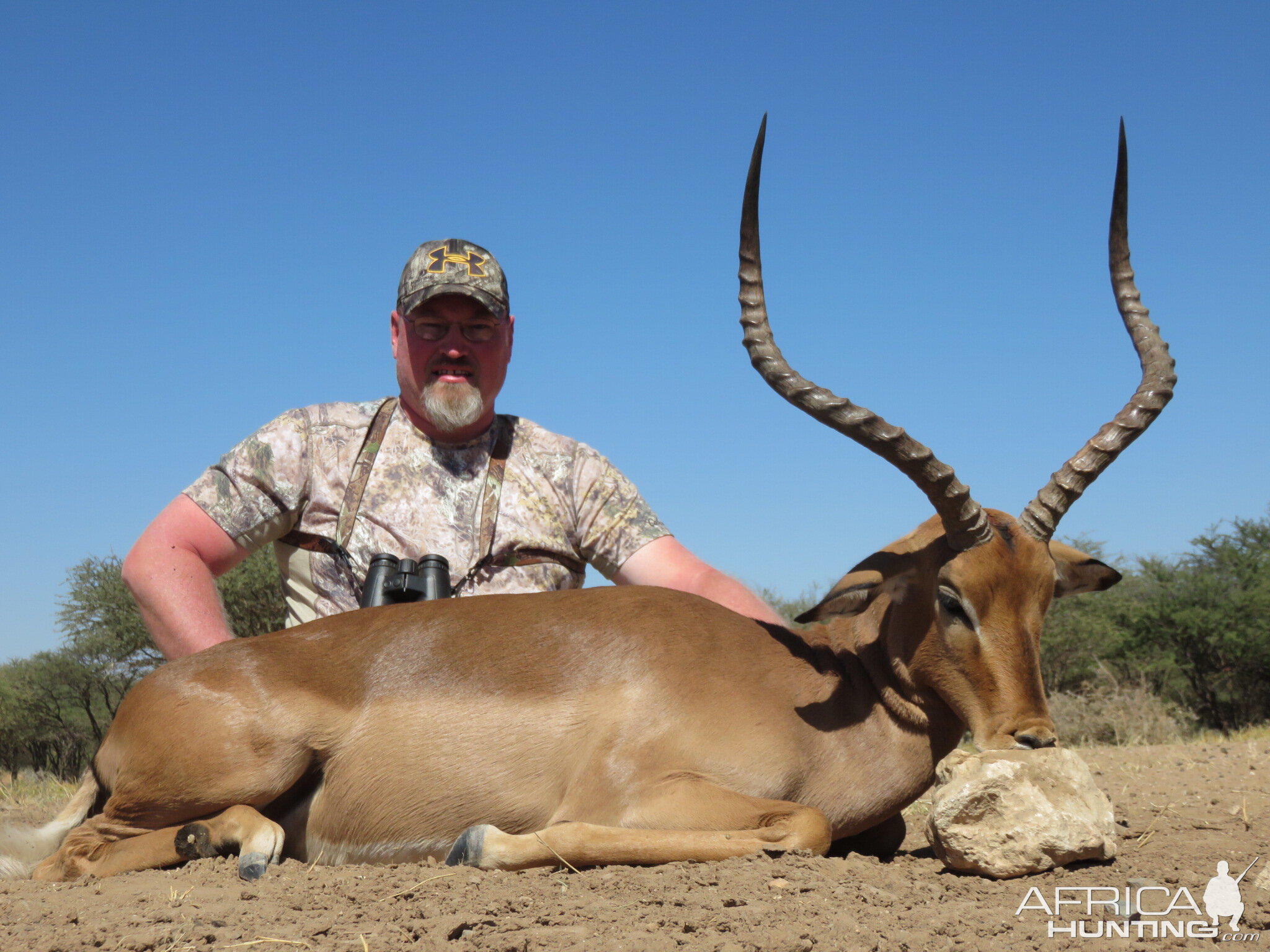 Wide Impala Hunt