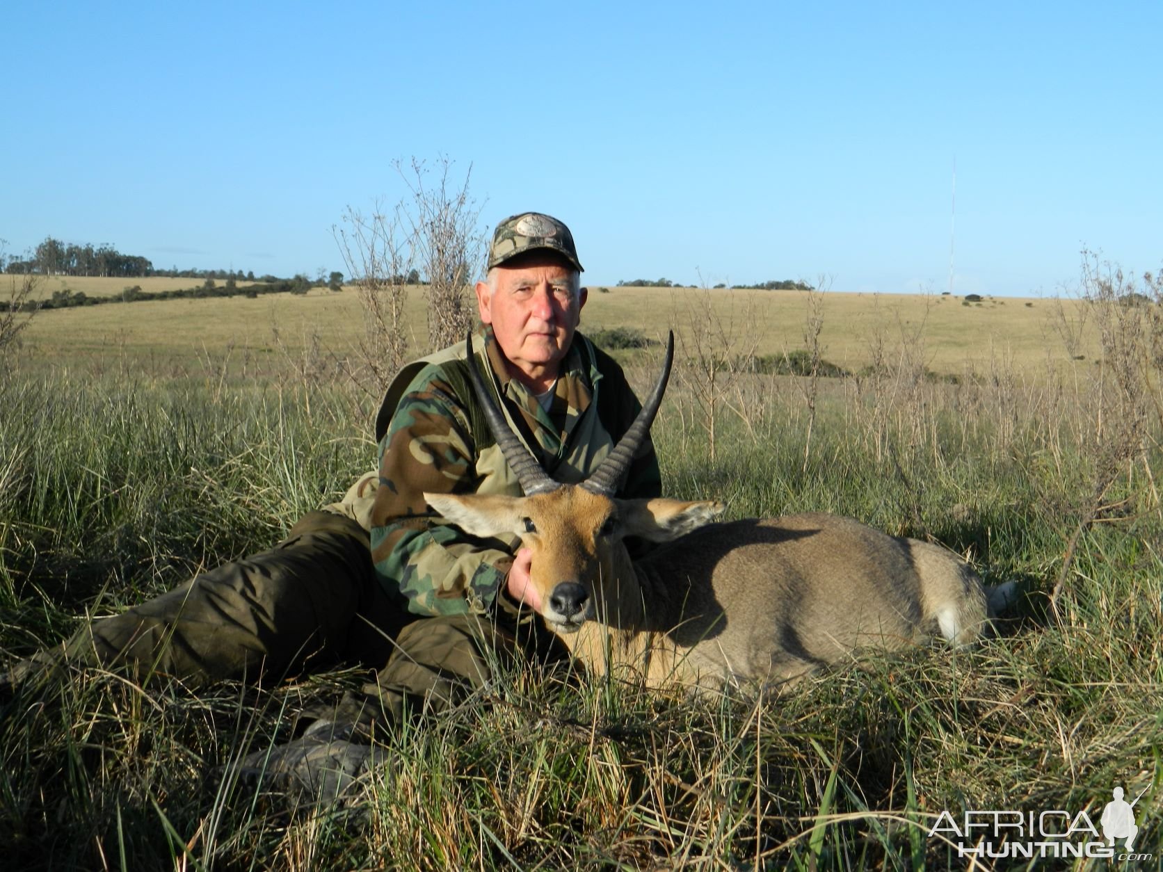 Wide Trophy Common Reedbuck