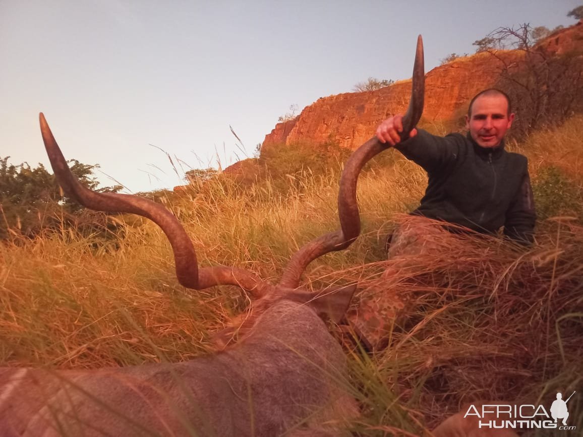 Wide Trophy Kudu