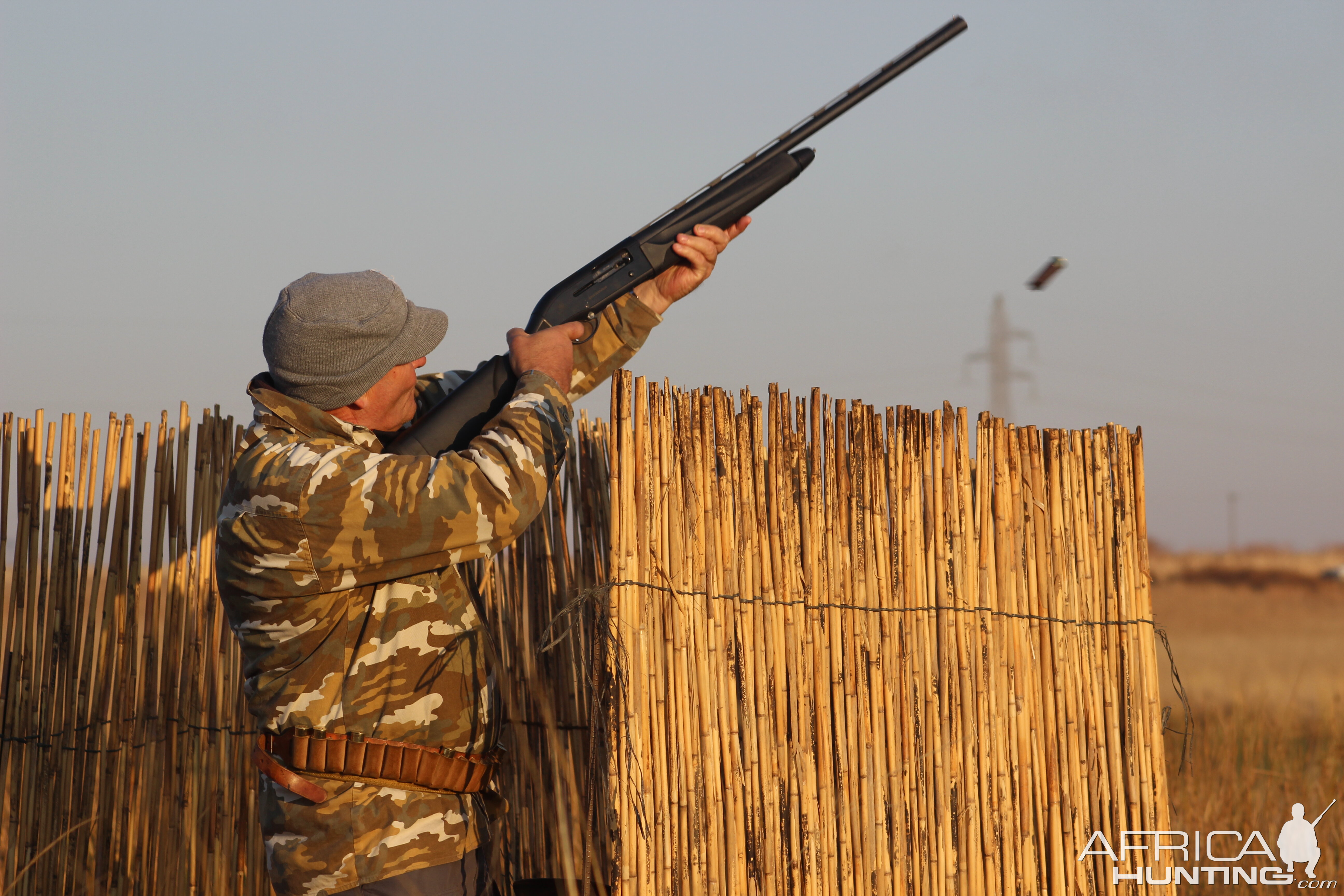 Wild Bird Hunting In South Africa