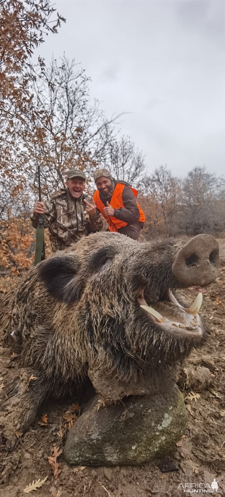 Wild Boar Down Turkey