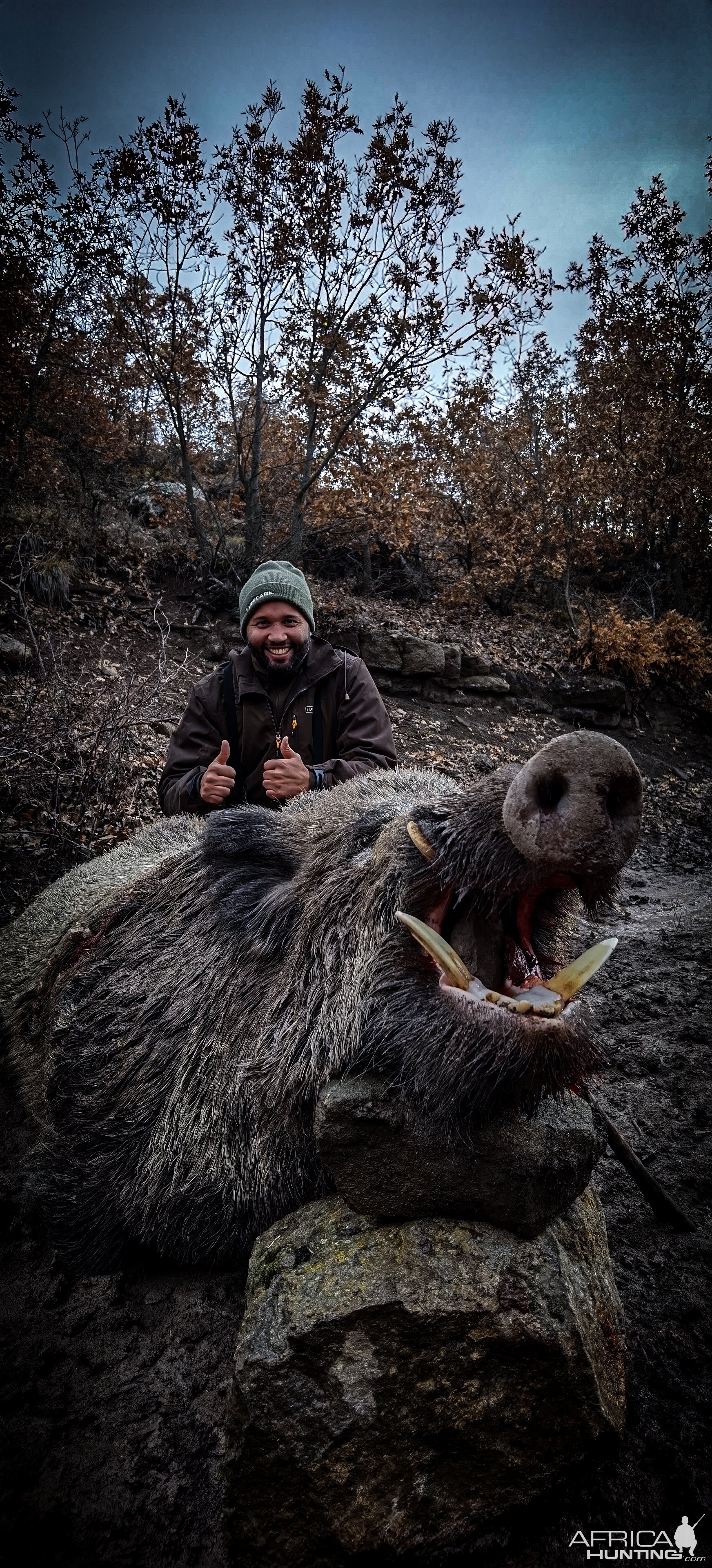 Wild Boar Down Turkey