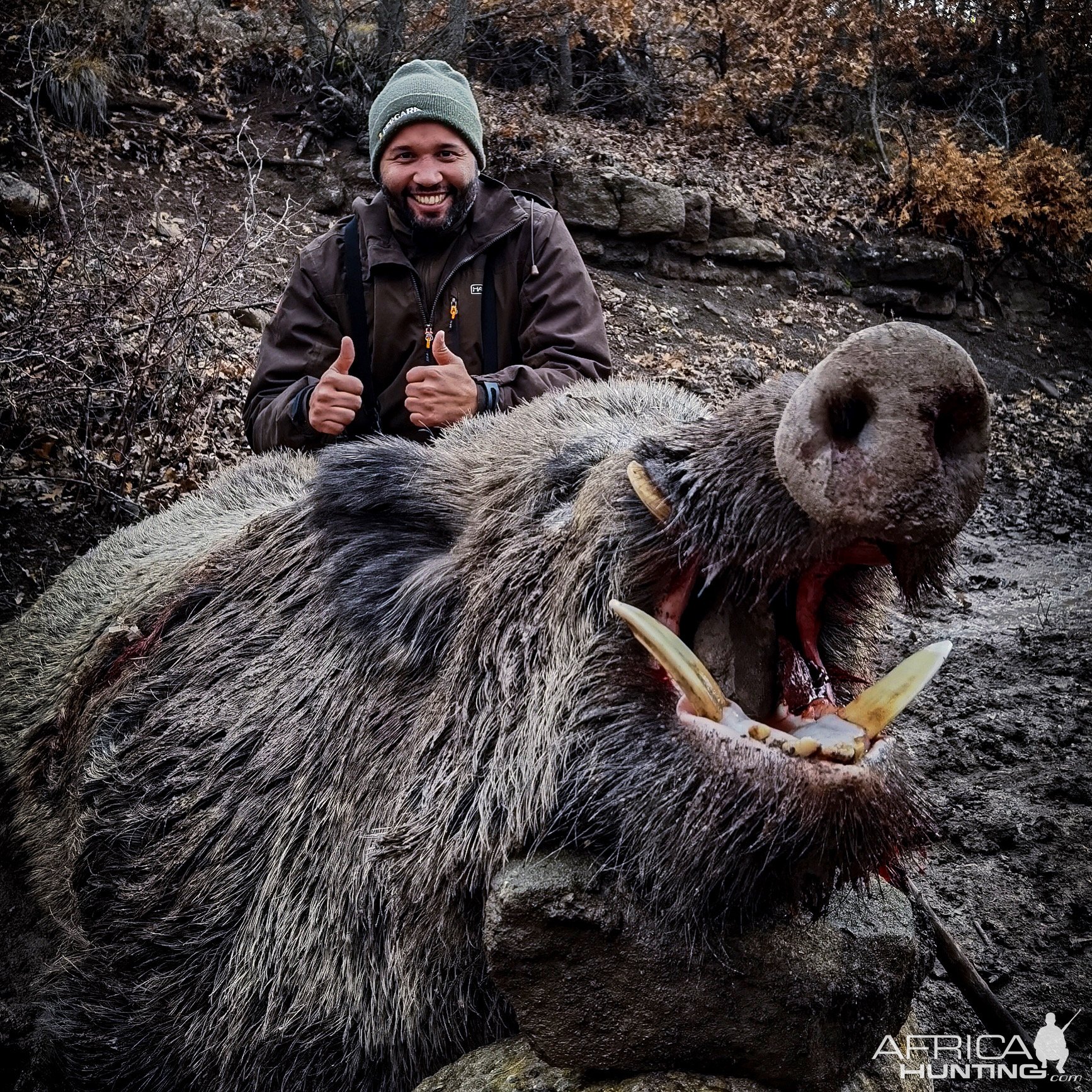 Wild Boar Down Turkey