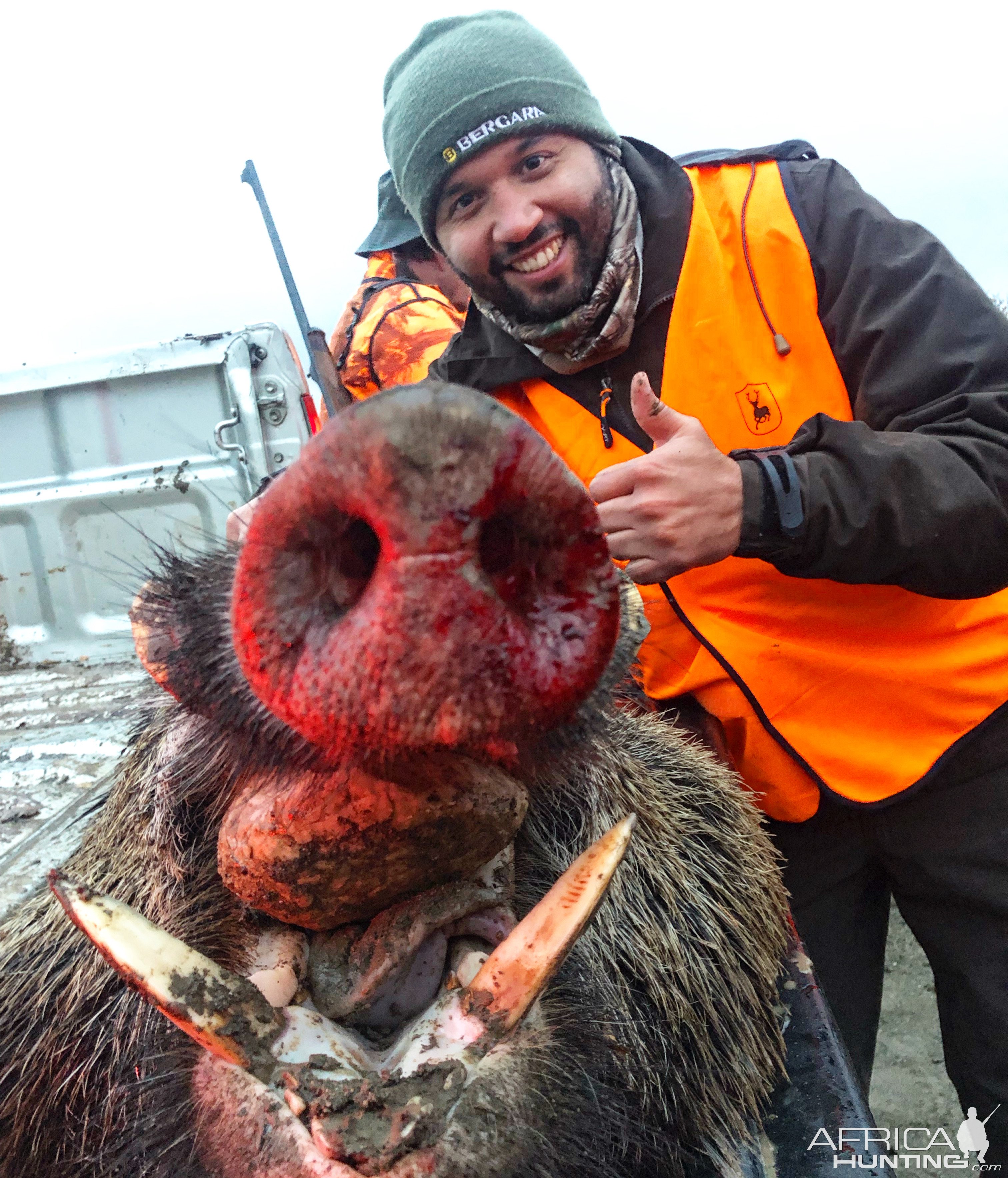 Wild Boar Down Turkey