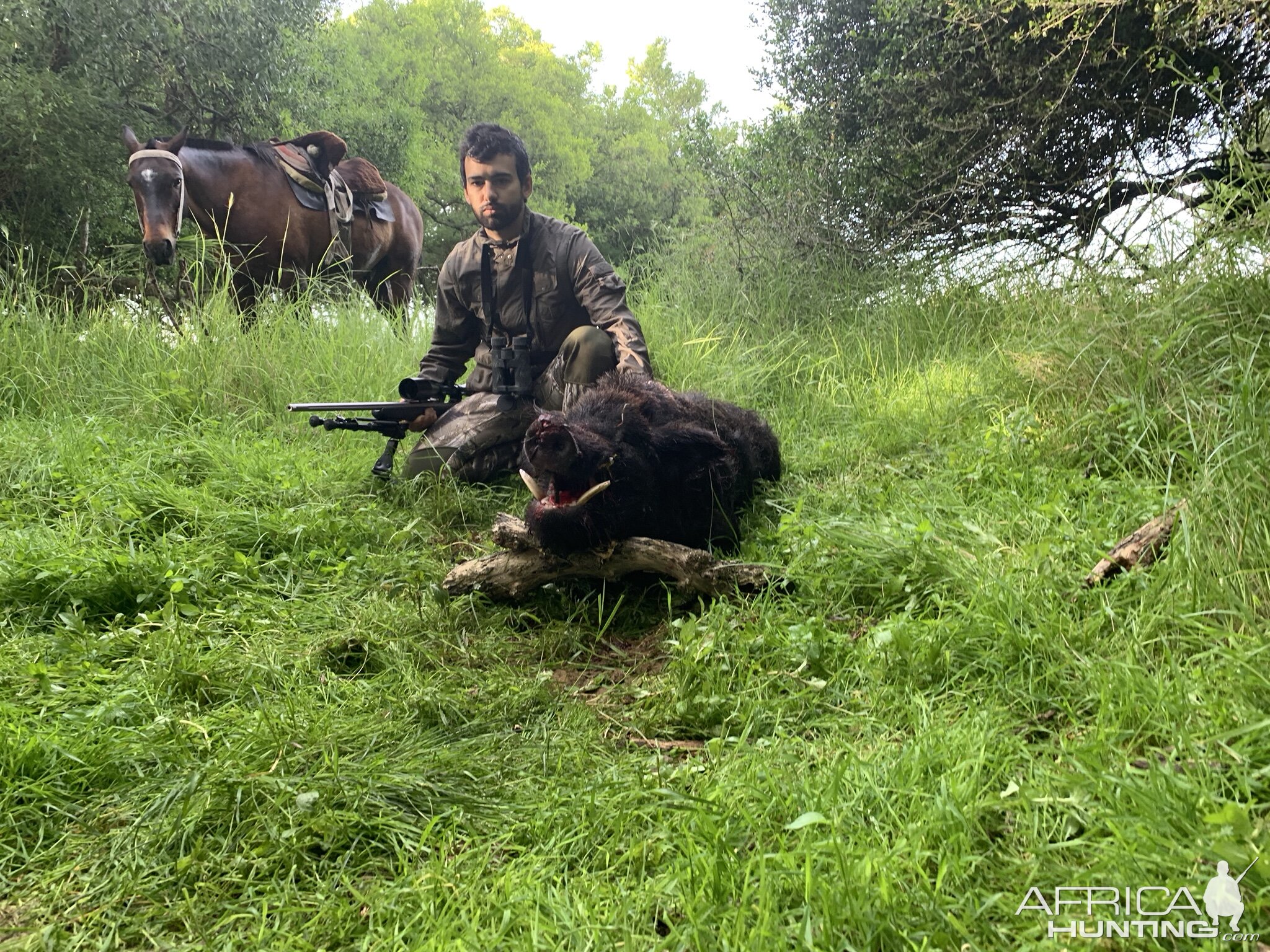 Wild Boar Hunt Argentina