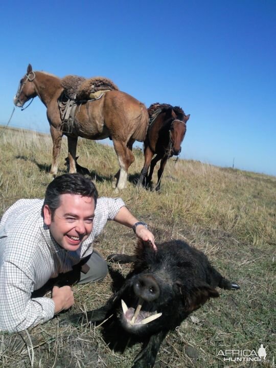 Wild Boar Hunt Argentina