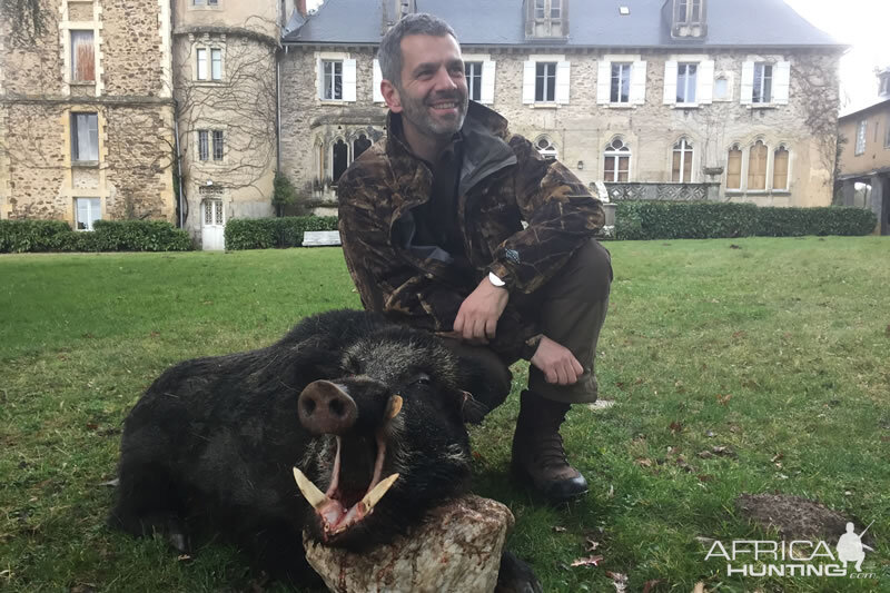 Wild Boar Hunt France