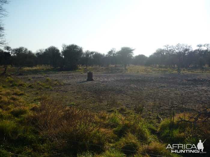 Wild Boar Hunting Argentina