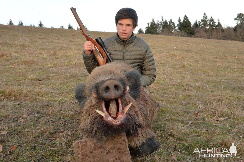 Wild Boar Hunting France