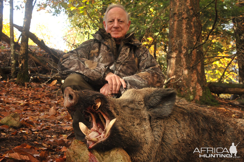 Wild boar Hunting in France