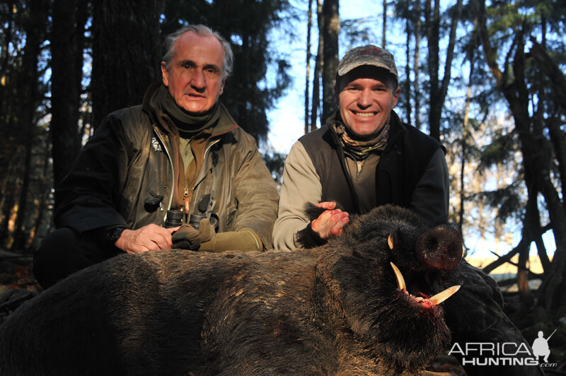 Wild Boar Hunting in France