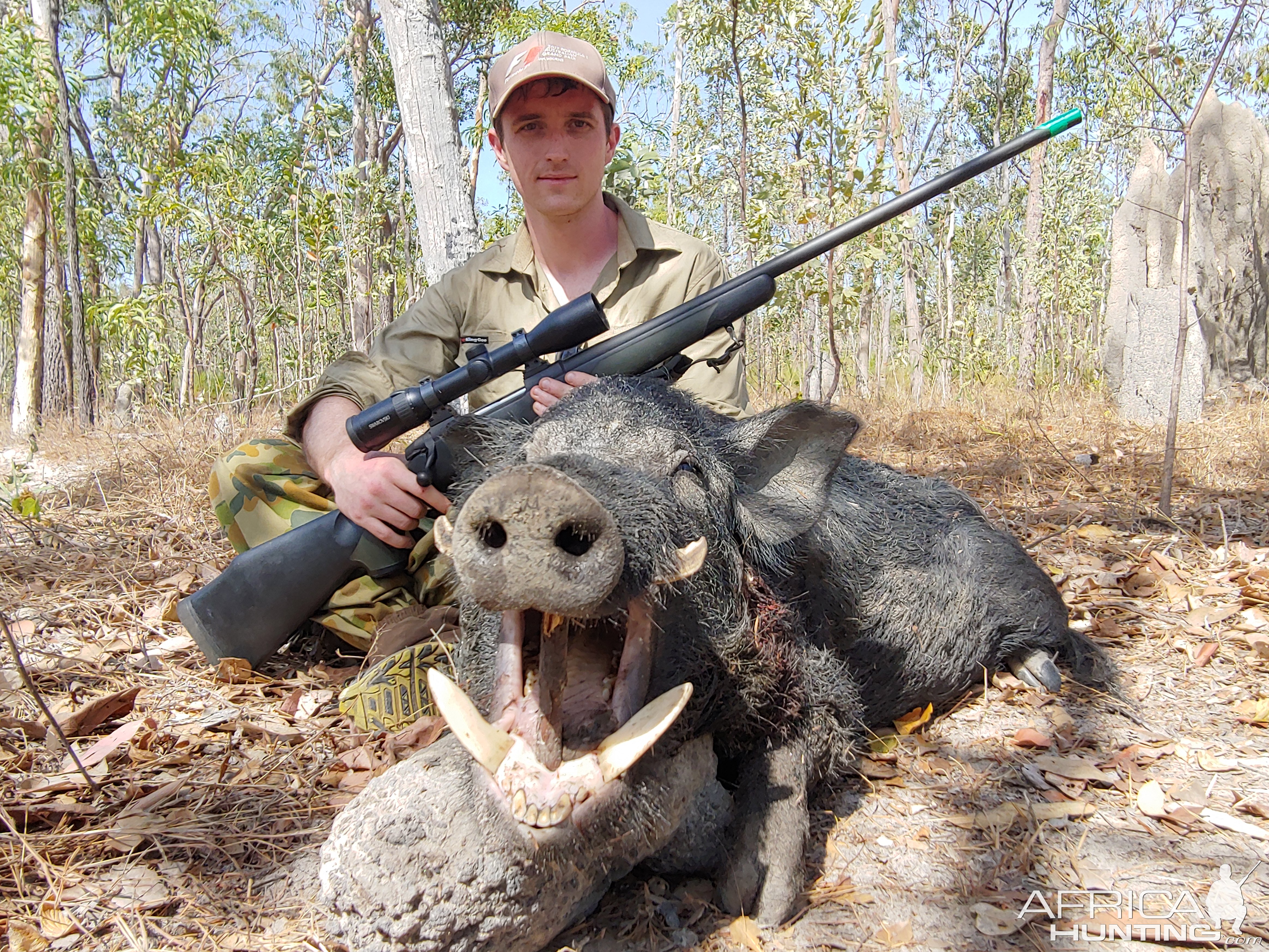 Wild Boar Hunting